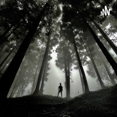 Mycapturer News and Podcast