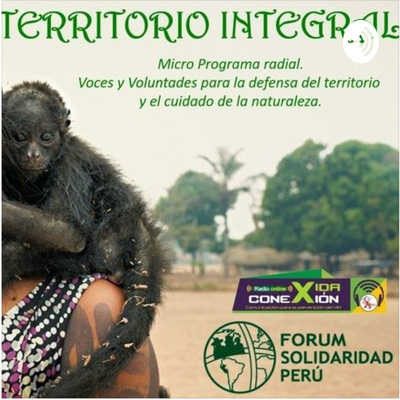 TRANSICIÓN ENRGÉTICA 1 - PROG 29-