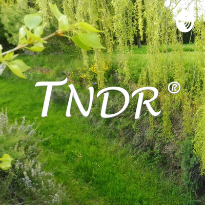 Testimonio TNDR - Héctor - Próstata Grande