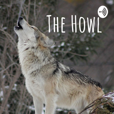 BUHS Seniors roundtable BUHS Seniors roundtable