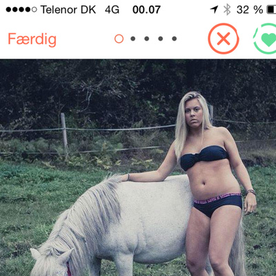 Animal Farm Bodil Joensen