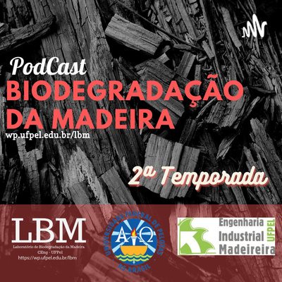 Episódio 17: Profª. Talita Baldin (UFMG) comenta sobre a influência da anatomia no tratamento da madeira.