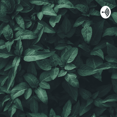 How to handle people criticizing you?