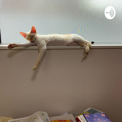 研究者数珠つなぎ, EP.14-3 慶應義塾大学大学院 修士1年 古賀 要花 氏