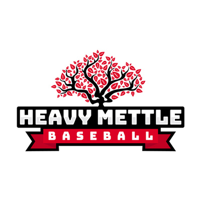 Heavy Mettle Baseball Podcast