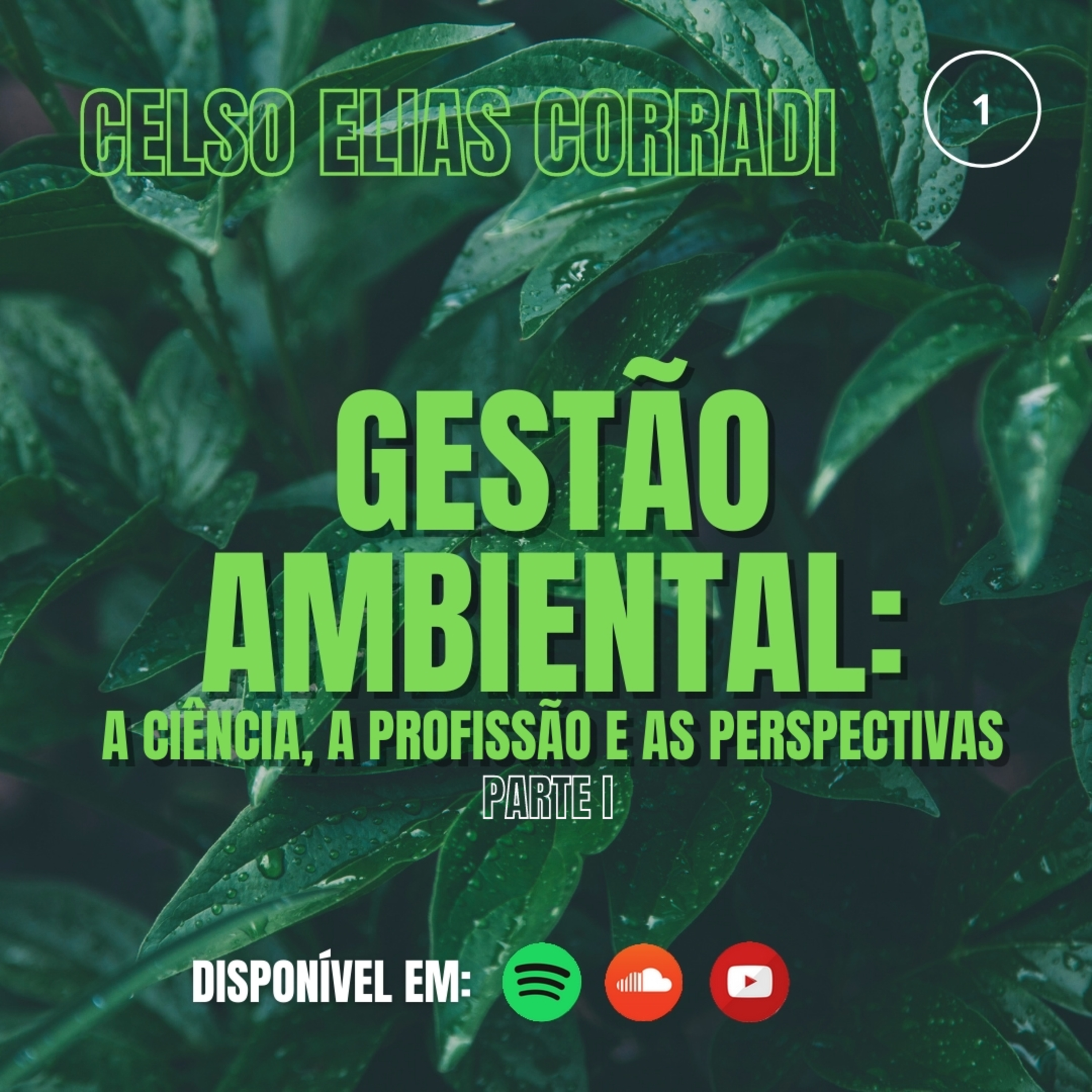 CONECTA GA