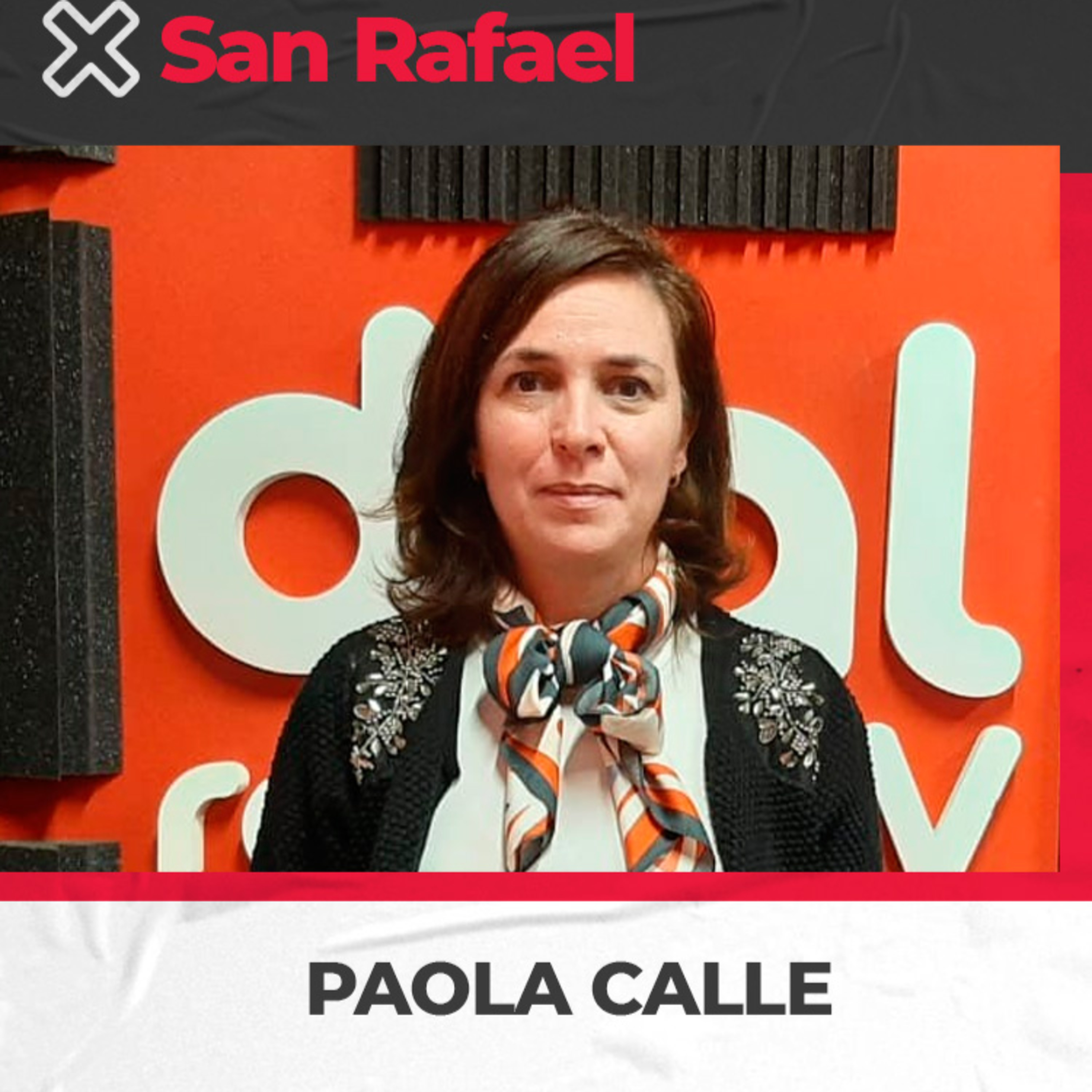 Paola Calle – diputada provincial PJ – Lactancia Materna, Osep, Bonos docentes de SEOS y Ley de recreación episode artwork