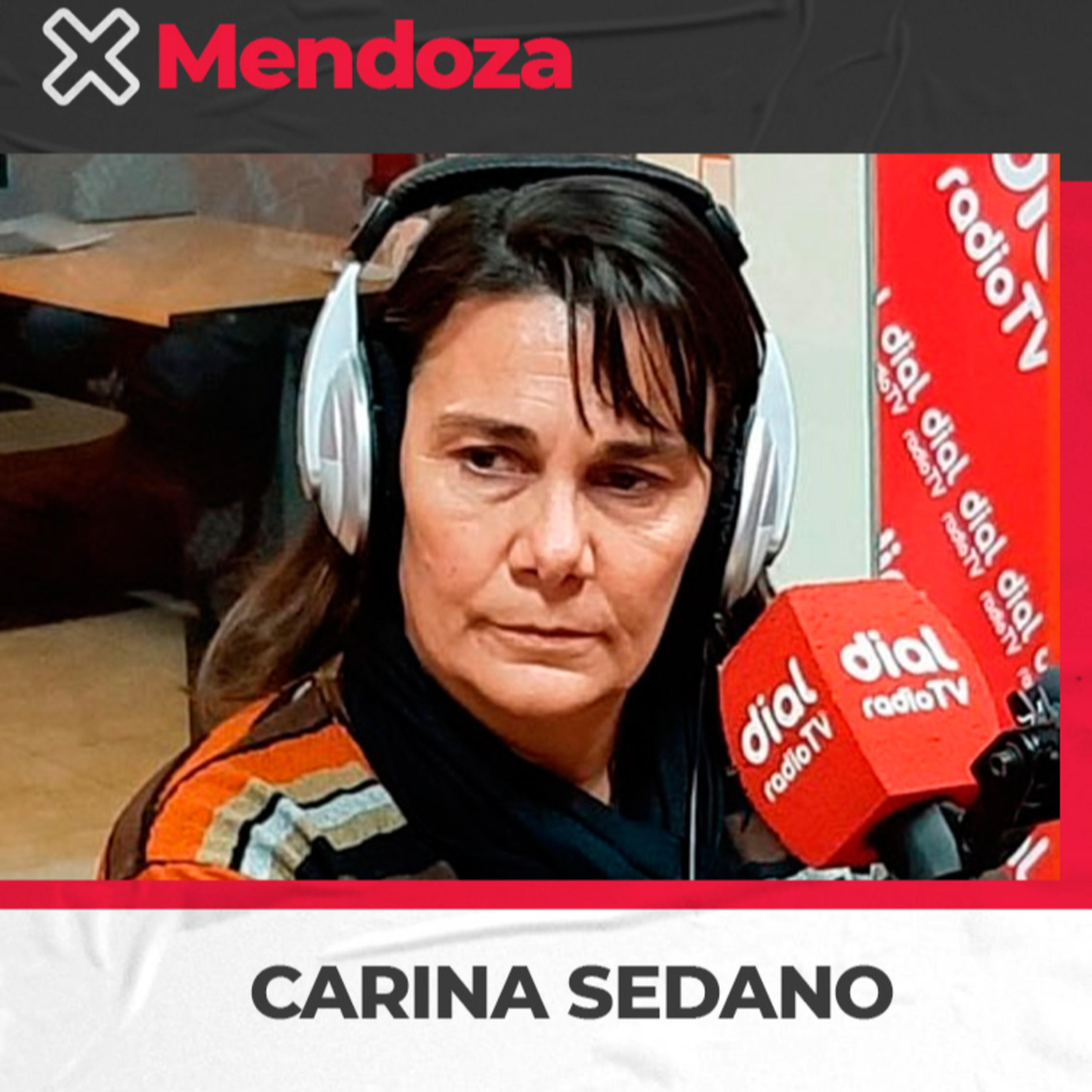 Carina Sedano – Titular SUTE – Paro docente para 8, 9 y 10 de agosto en Mendoza episode artwork