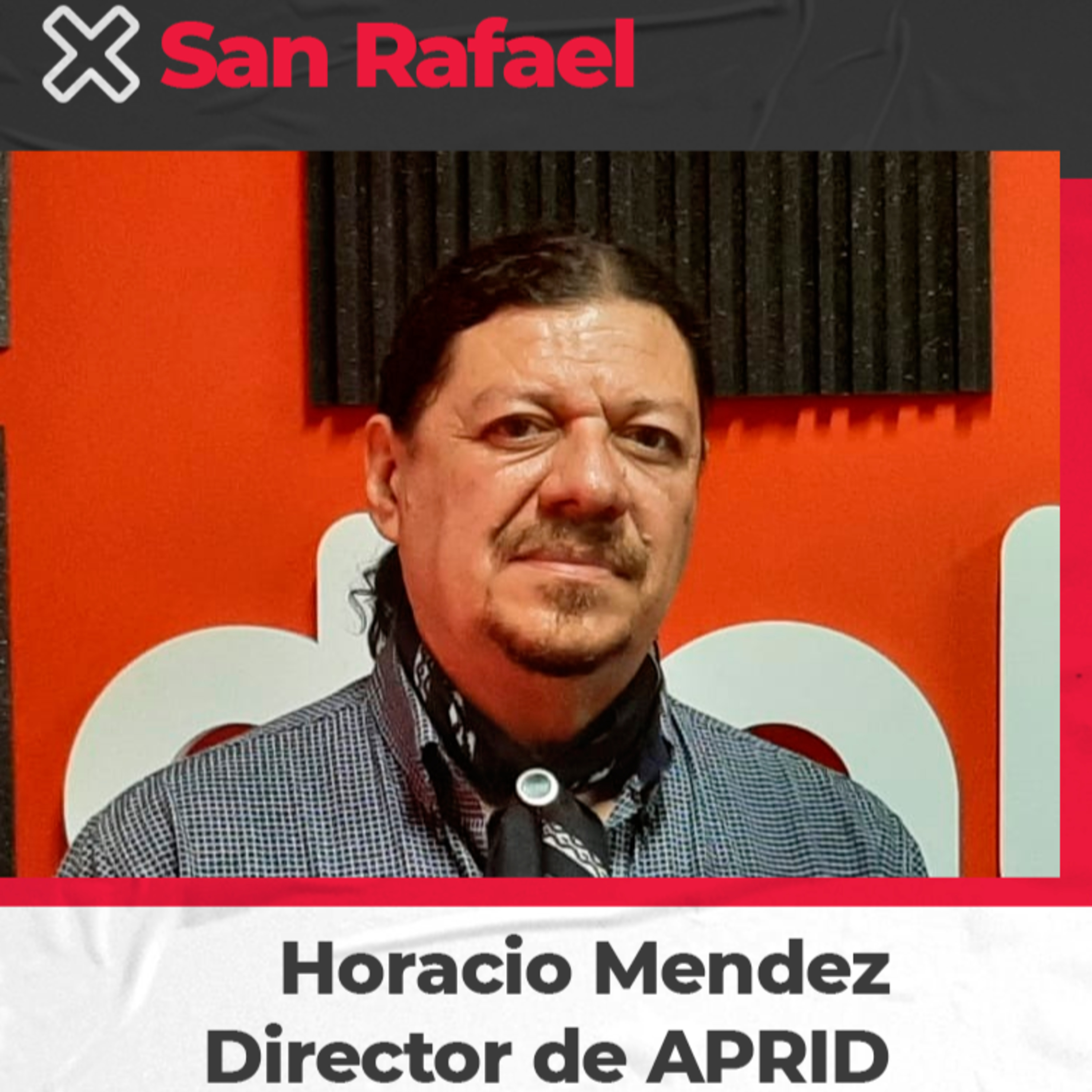 Horacio Méndez – Director de APRID – Trabajos que realiza la asociación episode artwork