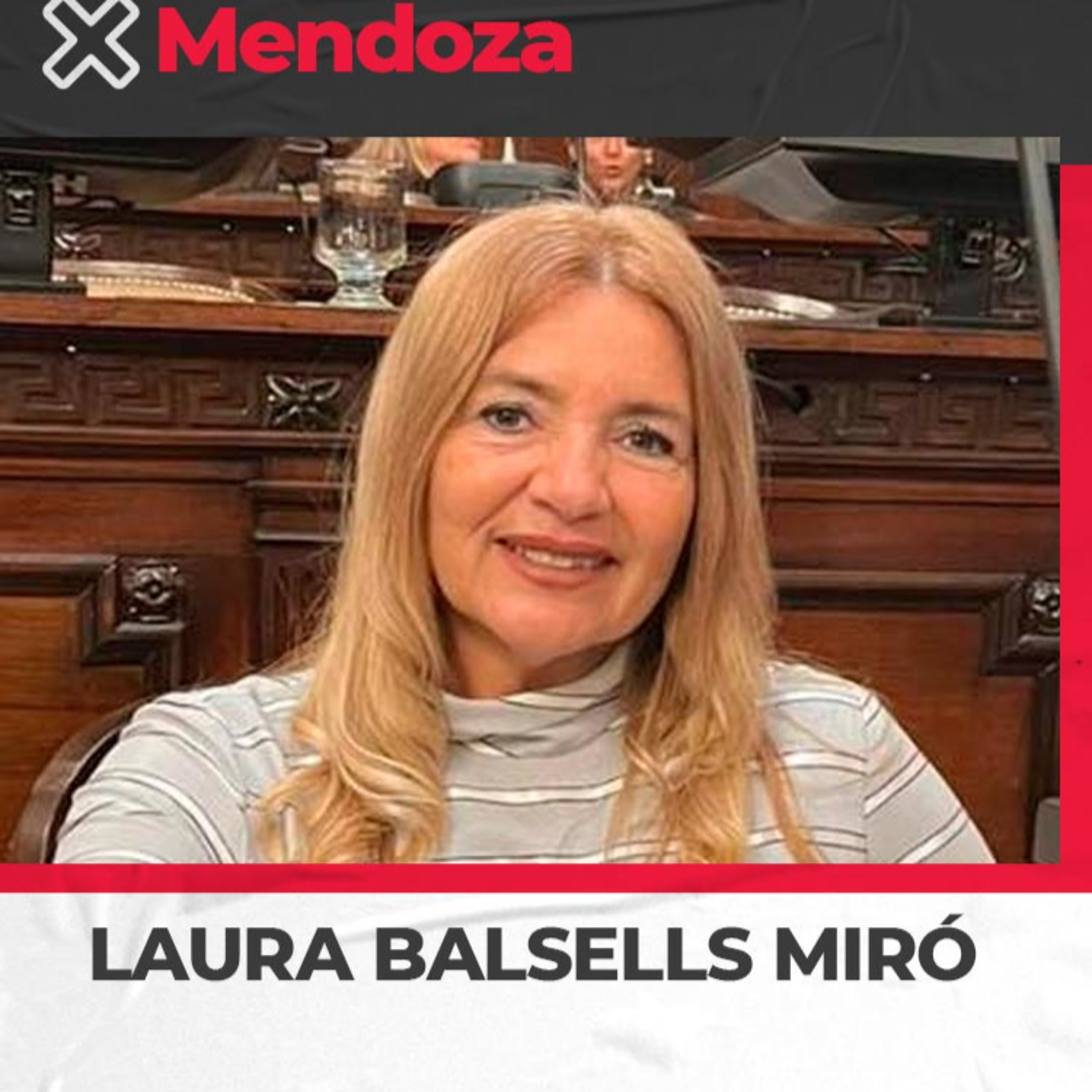 Laura Balsells Miró – Diputada Provincial PRO. Propone crear una Oficina de Cercanía Escolar para resolver conflictos docentes episode artwork