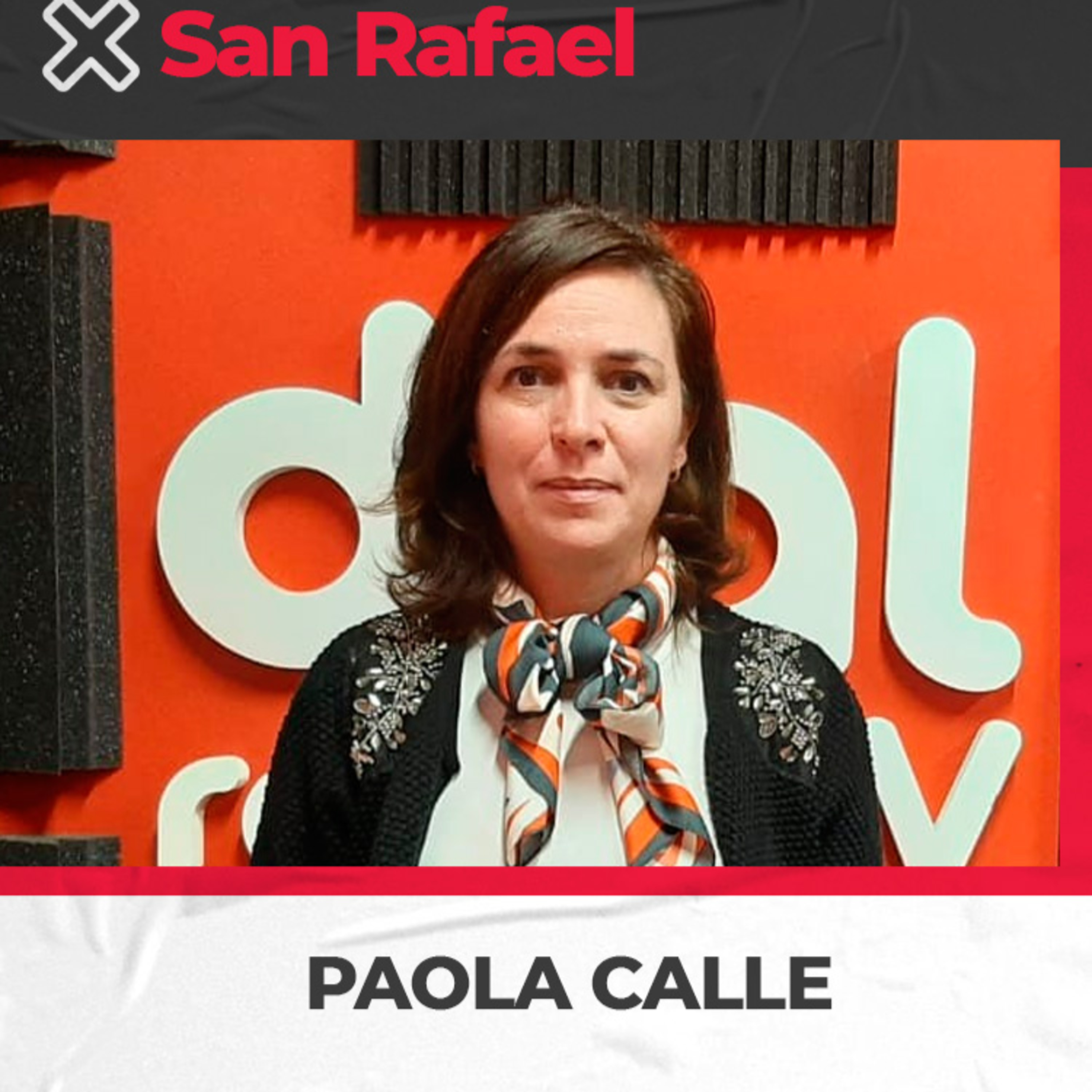 Dra Paola Calle - Diputada provincial PJ - Habló sobre el Día de la Sanidad, Proyecto de Libreta ginecológica y apoyo a pacientes con Fibromialgia episode artwork