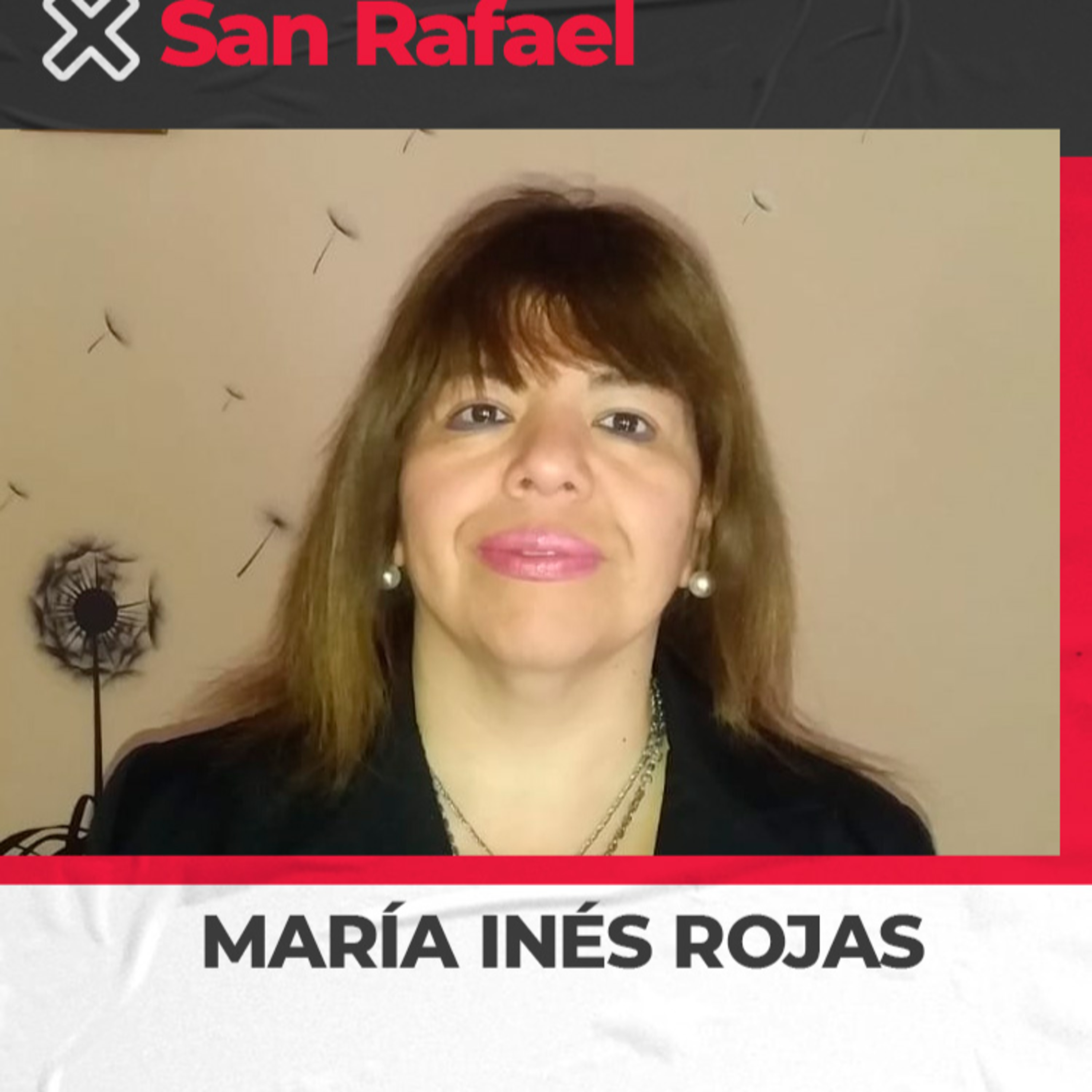 María Inés Rojas - Referente nacional en Mendoza de los ex trabajadores de #Encotel y #Encotesa - Reclaman por ley de resarcimiento económico  episode artwork