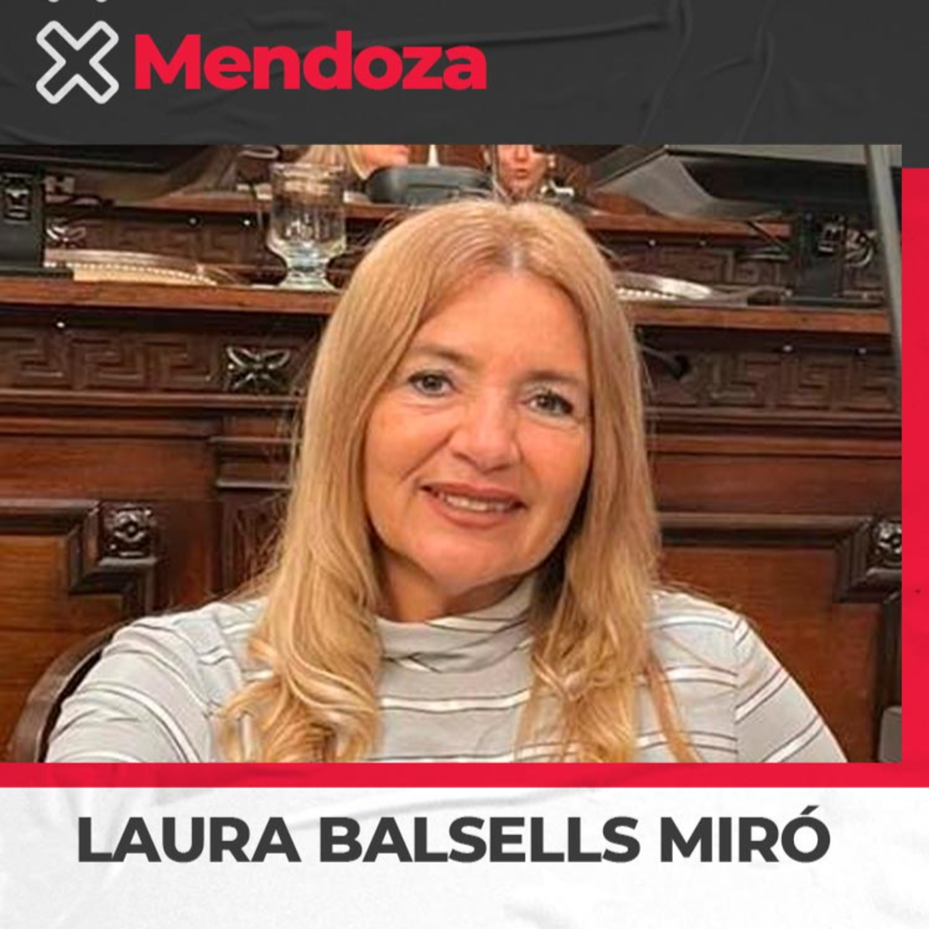 Laura Balsells Miró – Diputada Provincial del Pro. Propone que los presos cuiden y adiestren a perros callejeros episode artwork