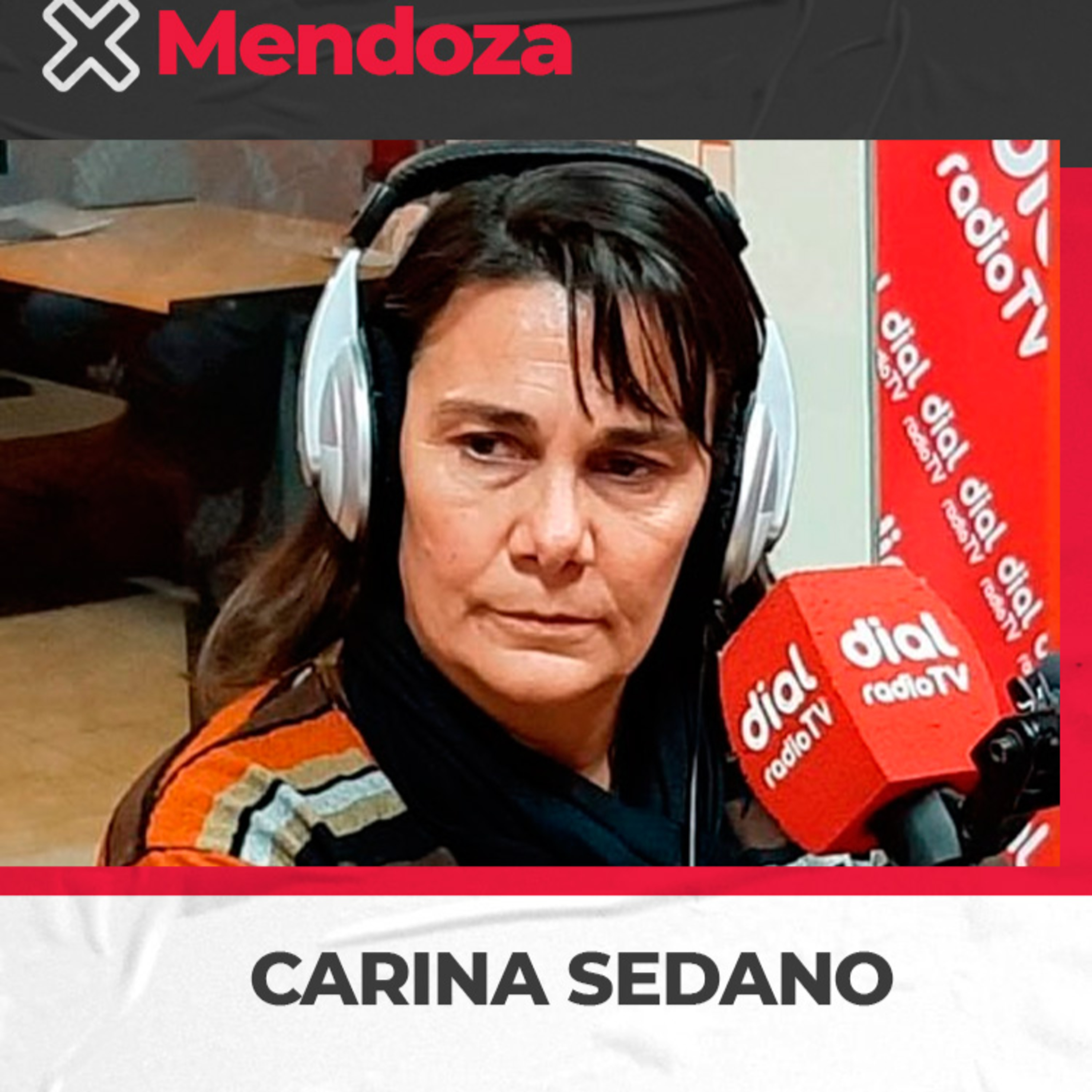 Carina Sedano – Titular SUTE – Nuevo pedido de reapertura de paritarias episode artwork