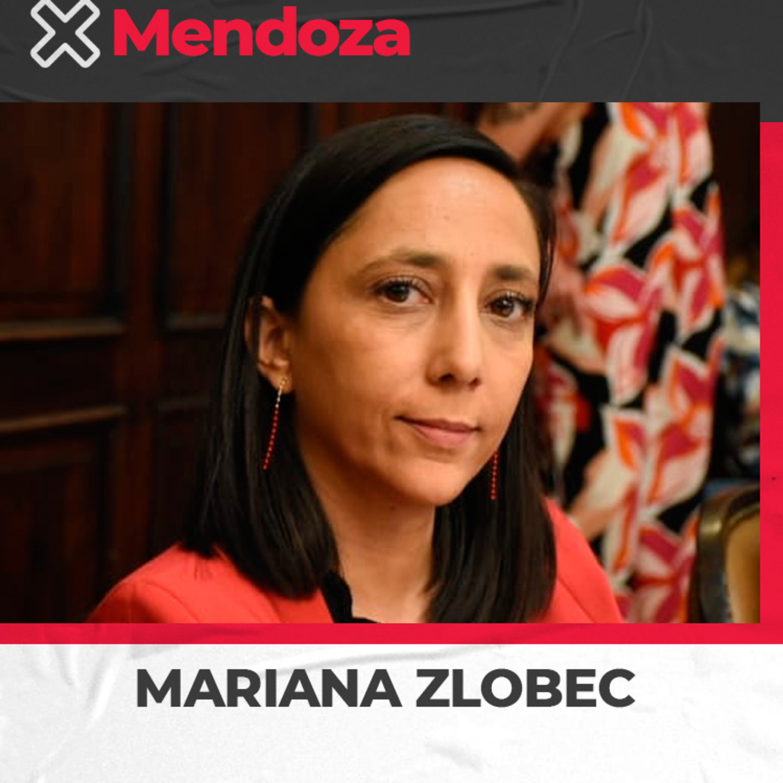 Mariana Zlobec – Comisión de educación del Senado provincial – Aprobaron plan Estratégico de Alfabetización episode artwork