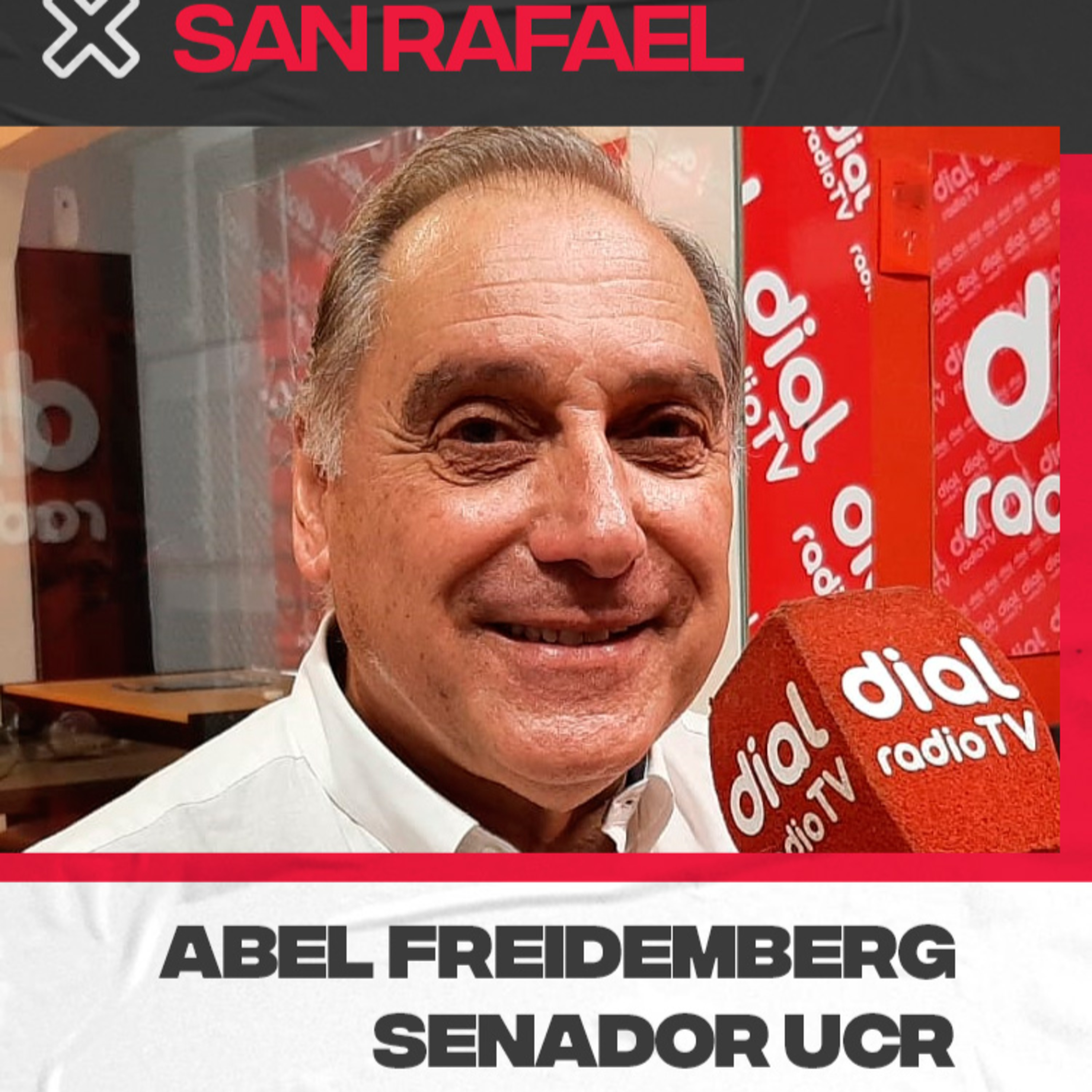 Abel Freidemberg – Senador Provincial de la UCR – Balance de año episode artwork