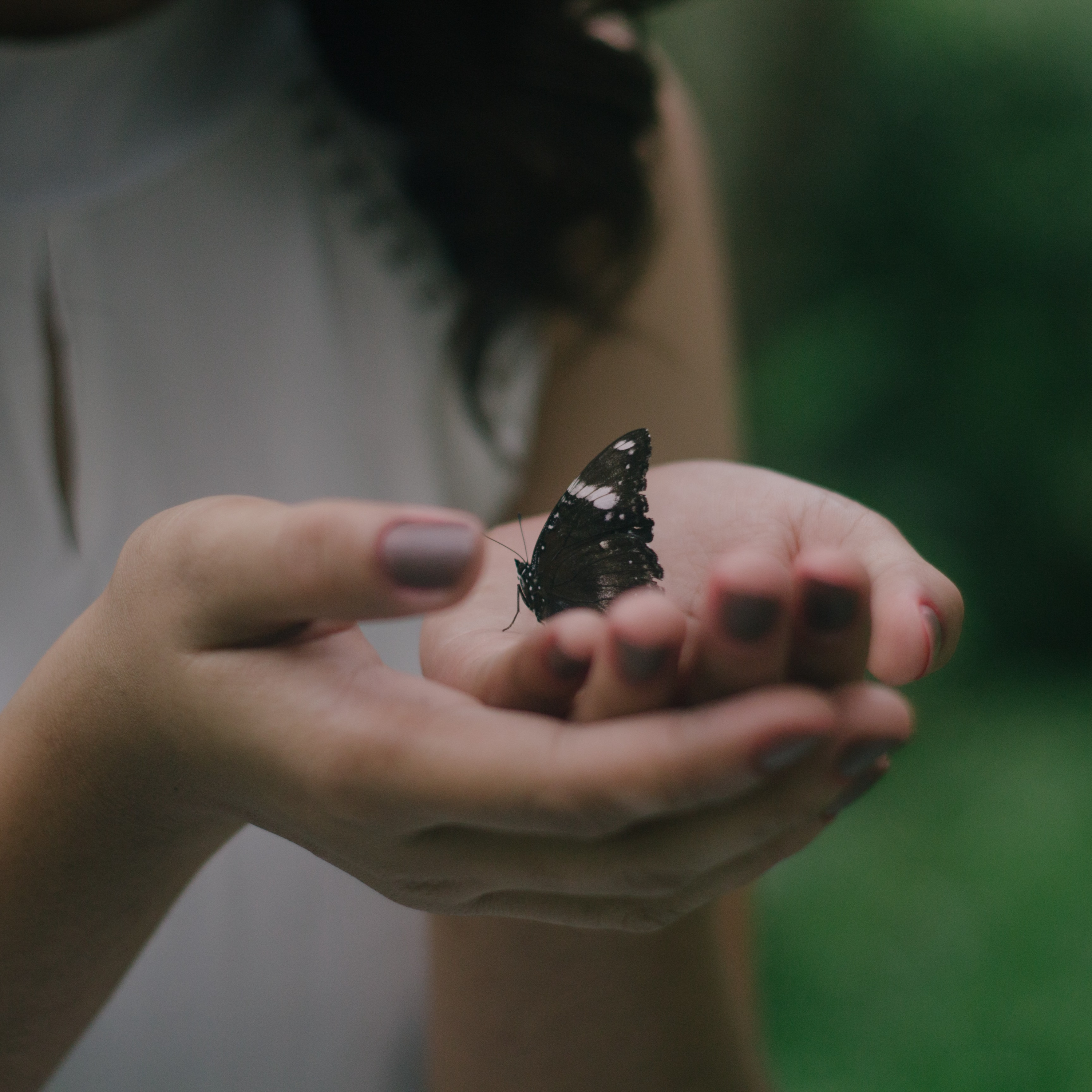 Healing Conversations with Sanne Ham