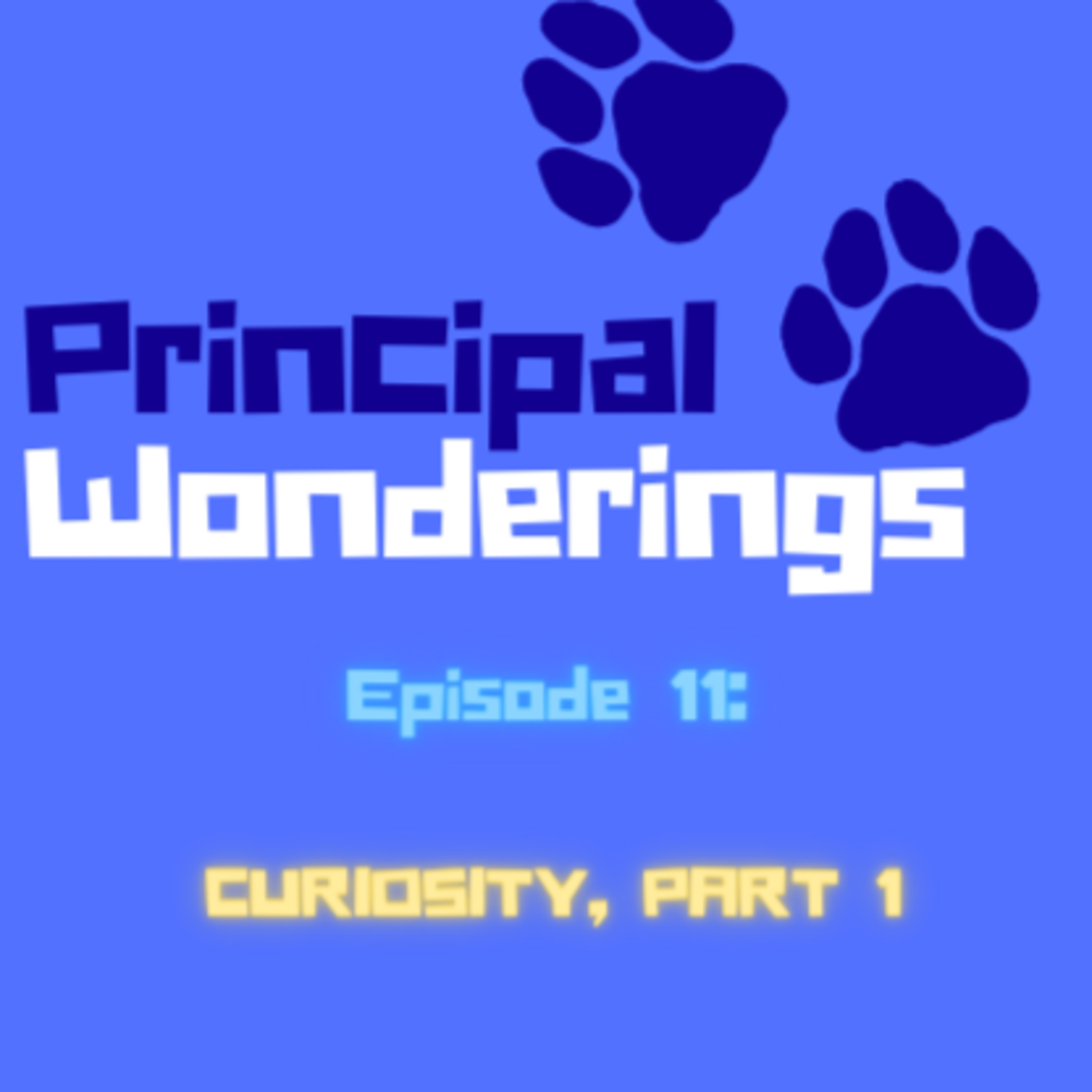 Principal Wonderings