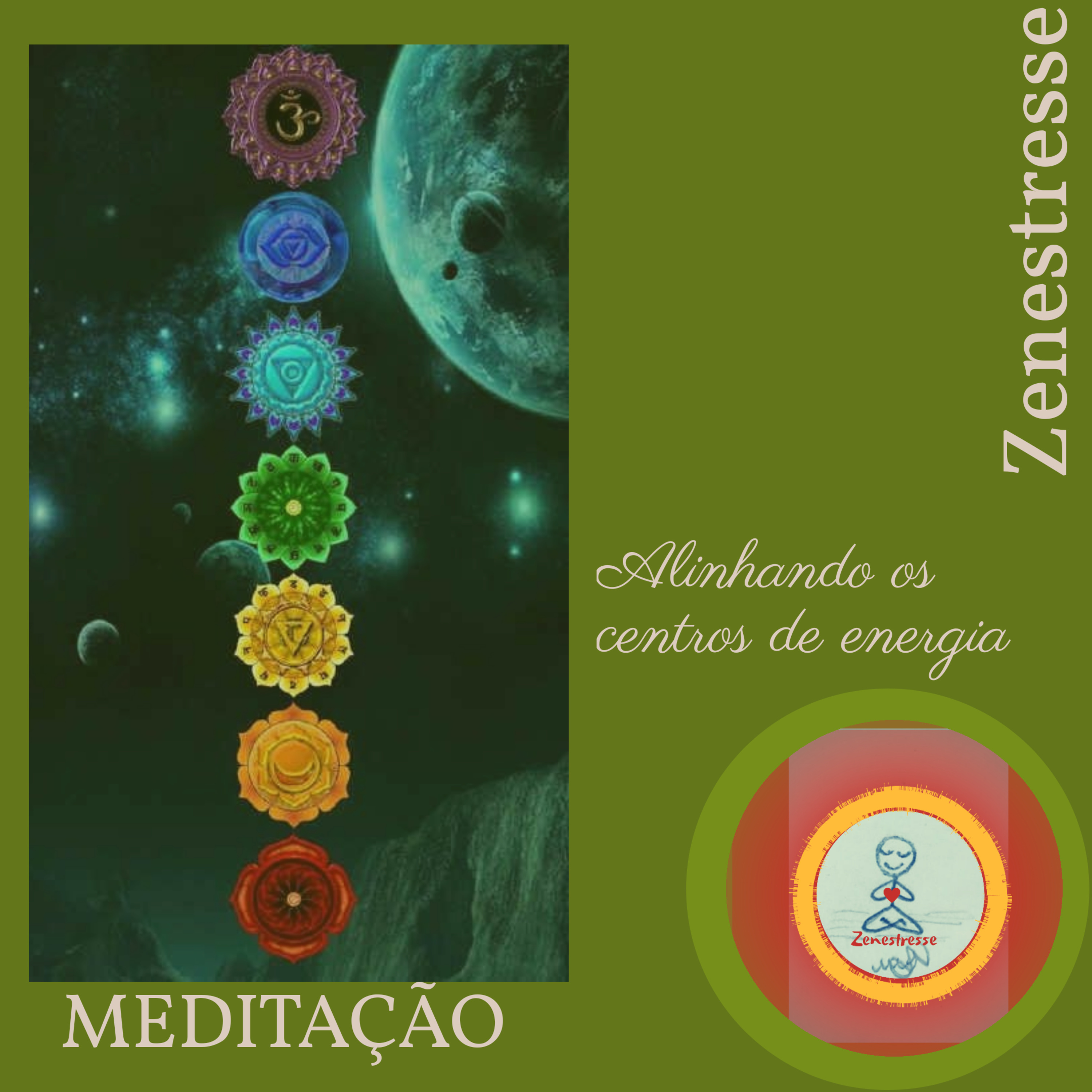 Zenestresse - Práticas De Bem Viver