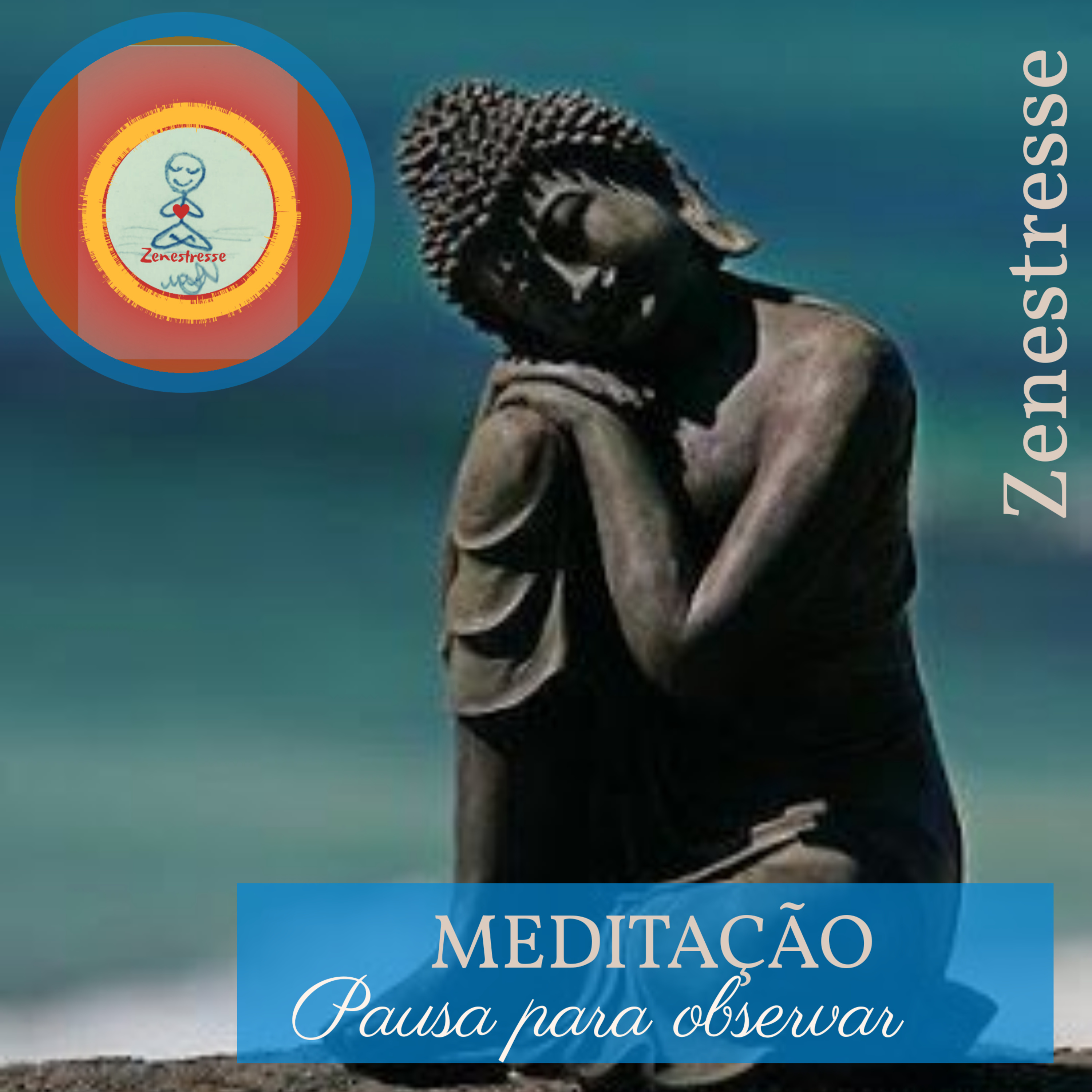 Zenestresse - Práticas De Bem Viver