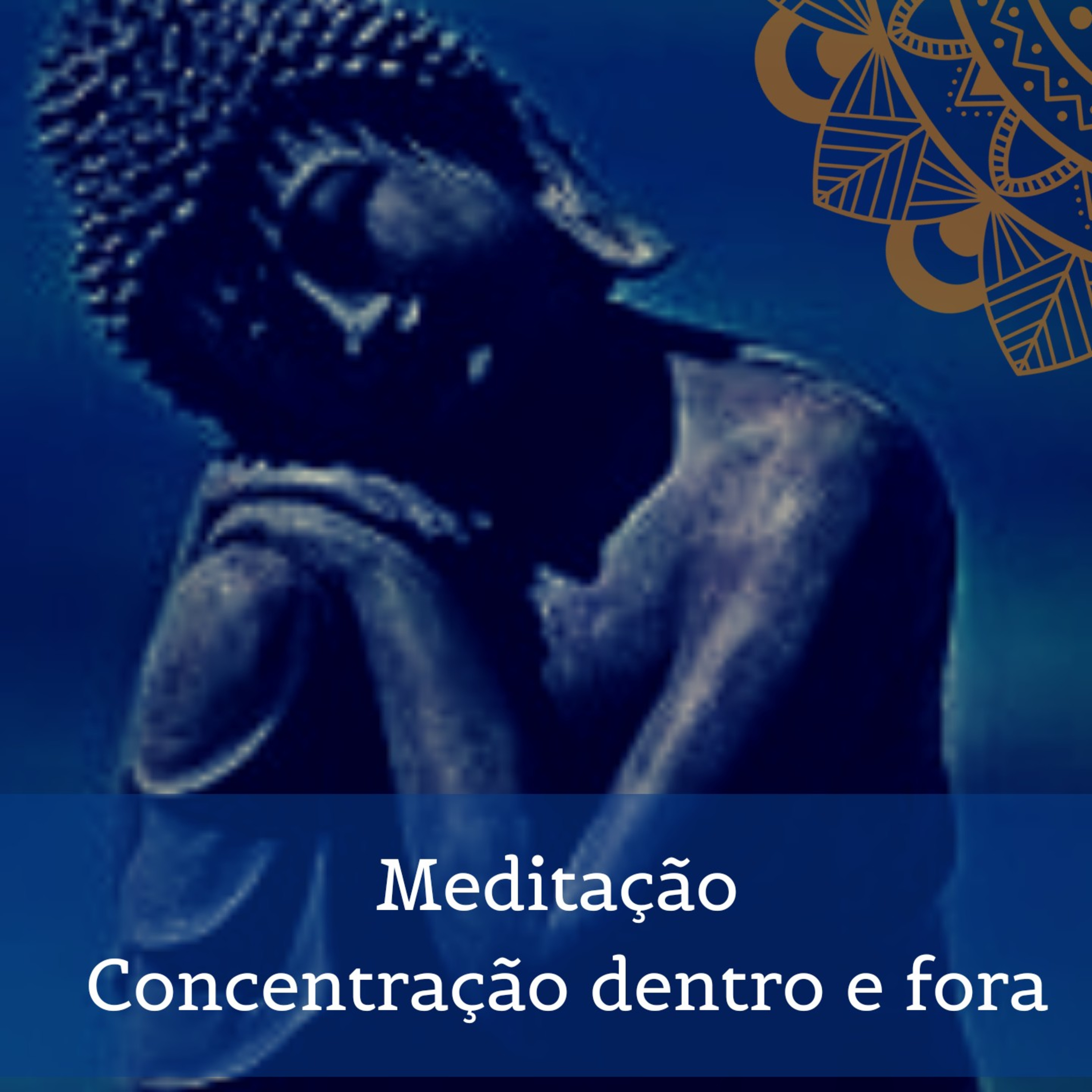 Zenestresse - Práticas De Bem Viver