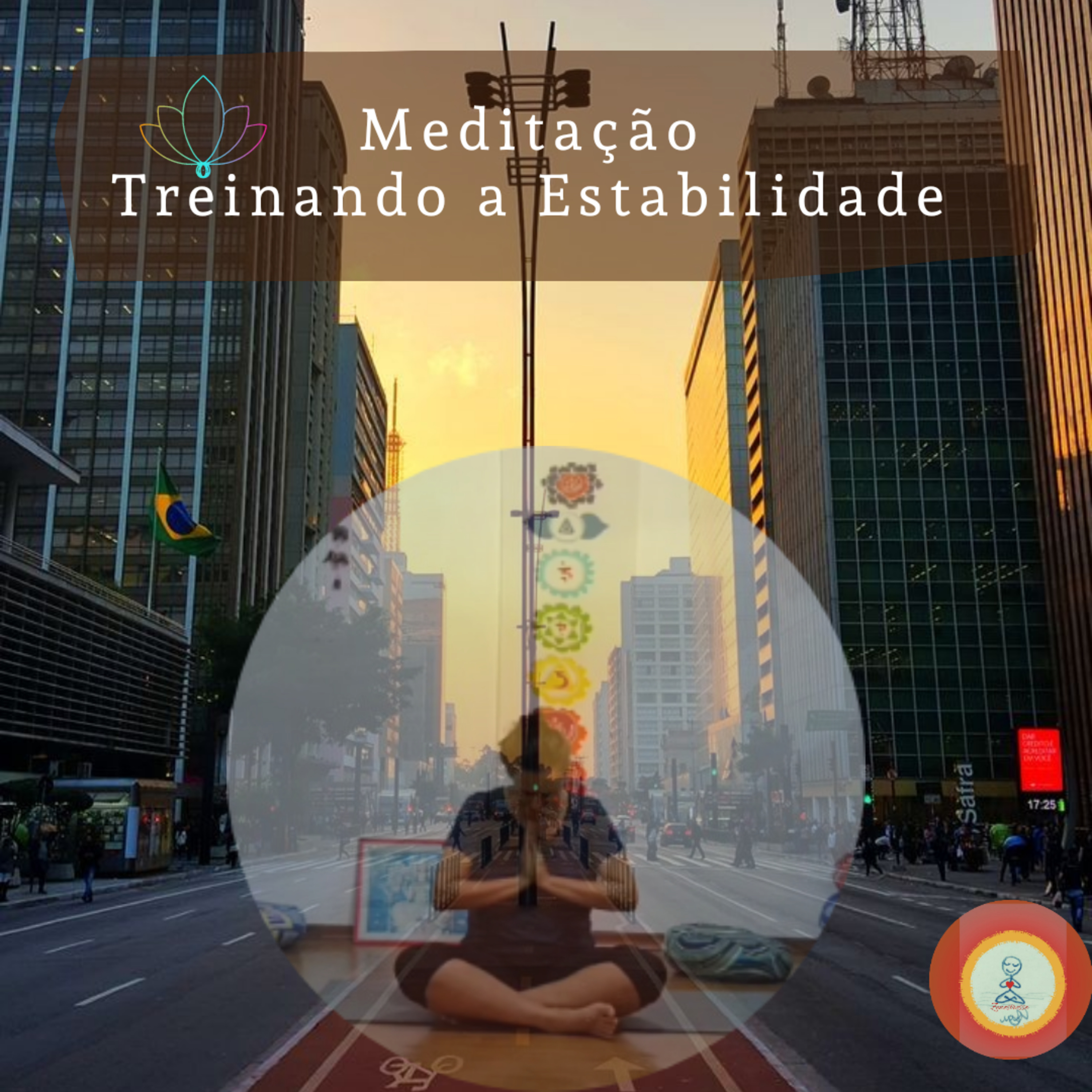 Zenestresse - Práticas De Bem Viver