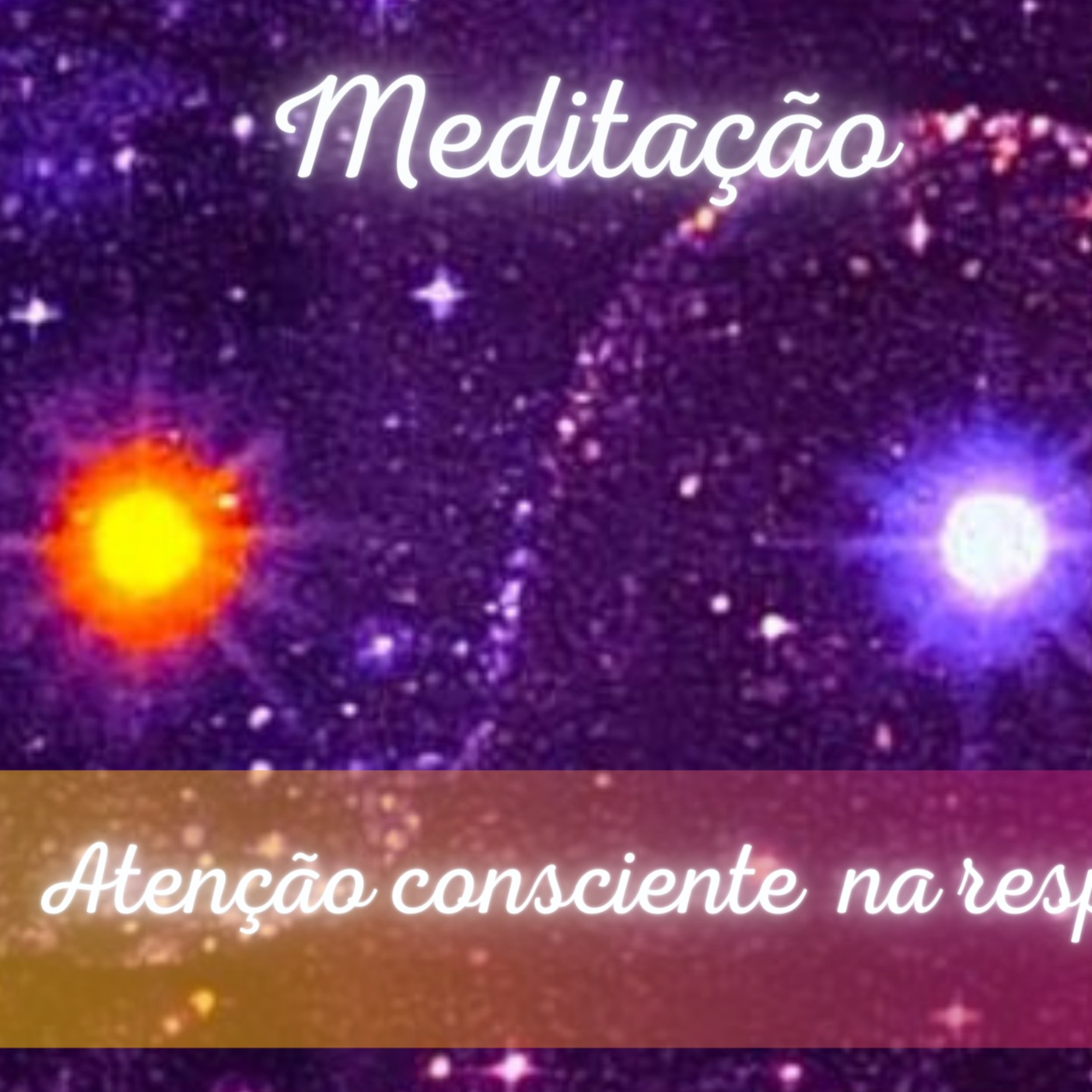Zenestresse - Práticas De Bem Viver