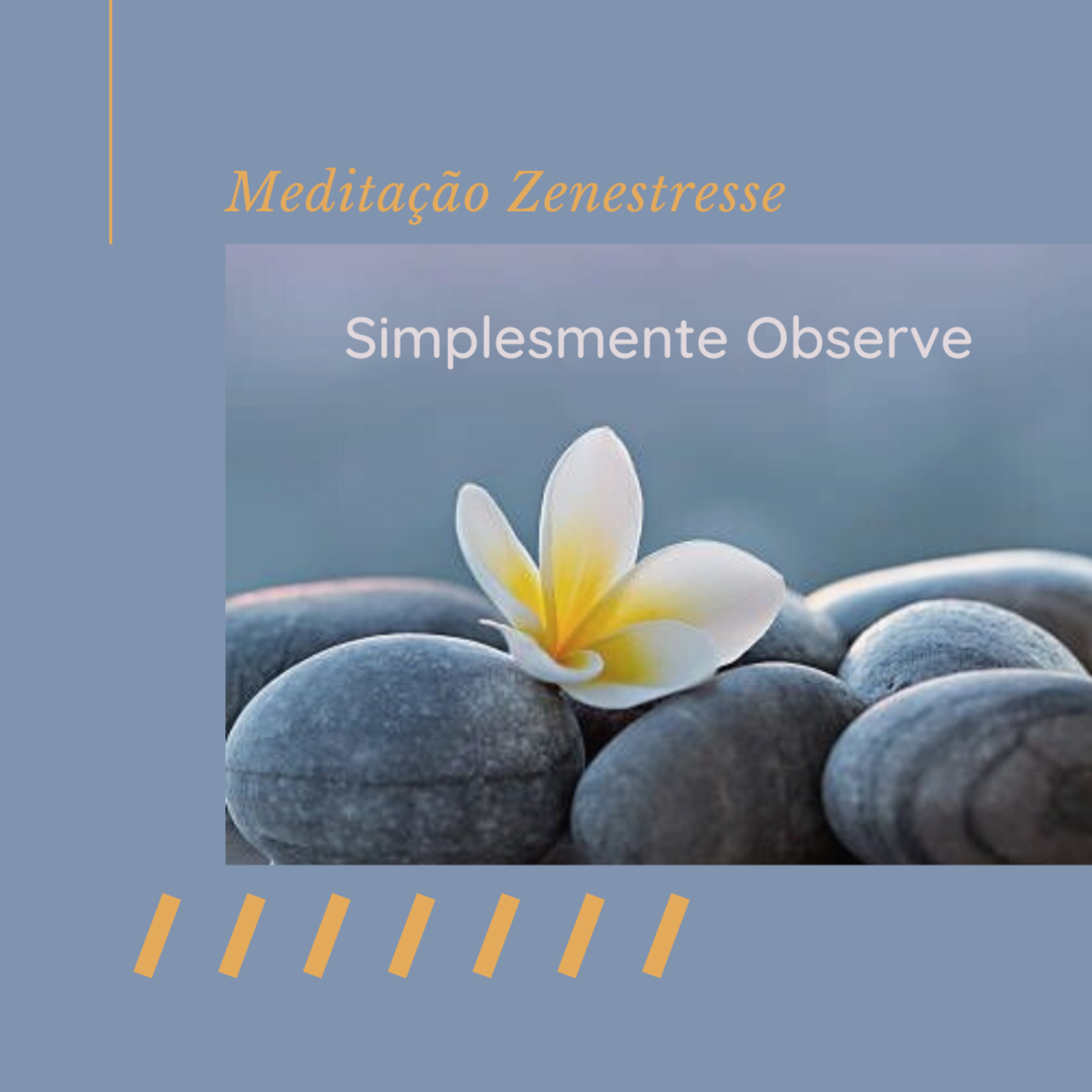 Zenestresse - Práticas De Bem Viver