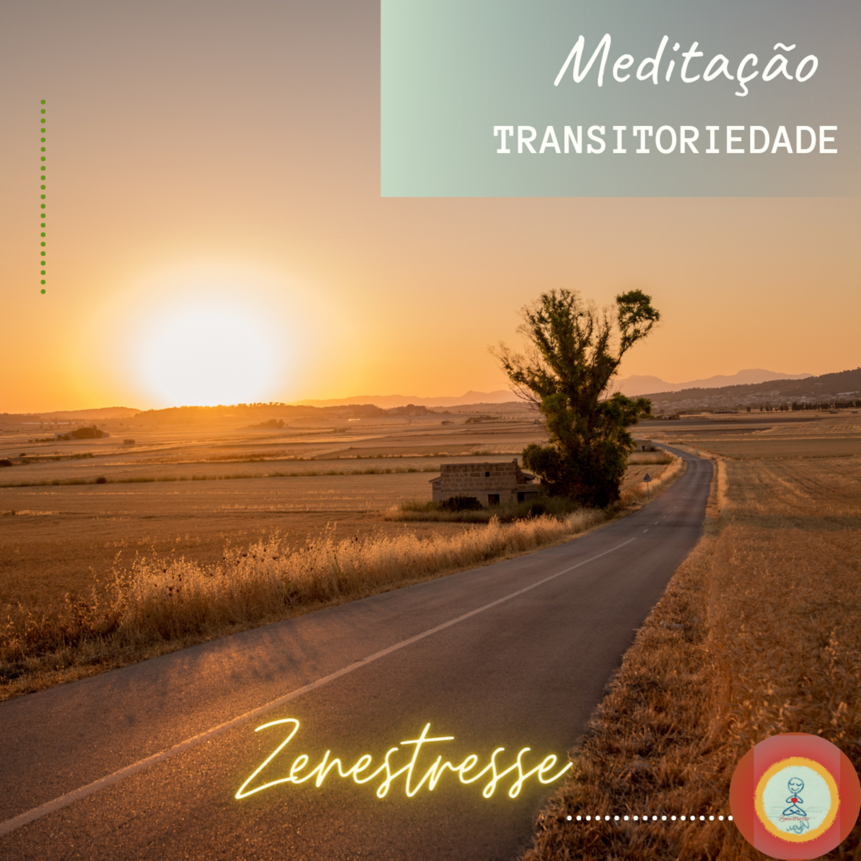 Zenestresse - Práticas De Bem Viver