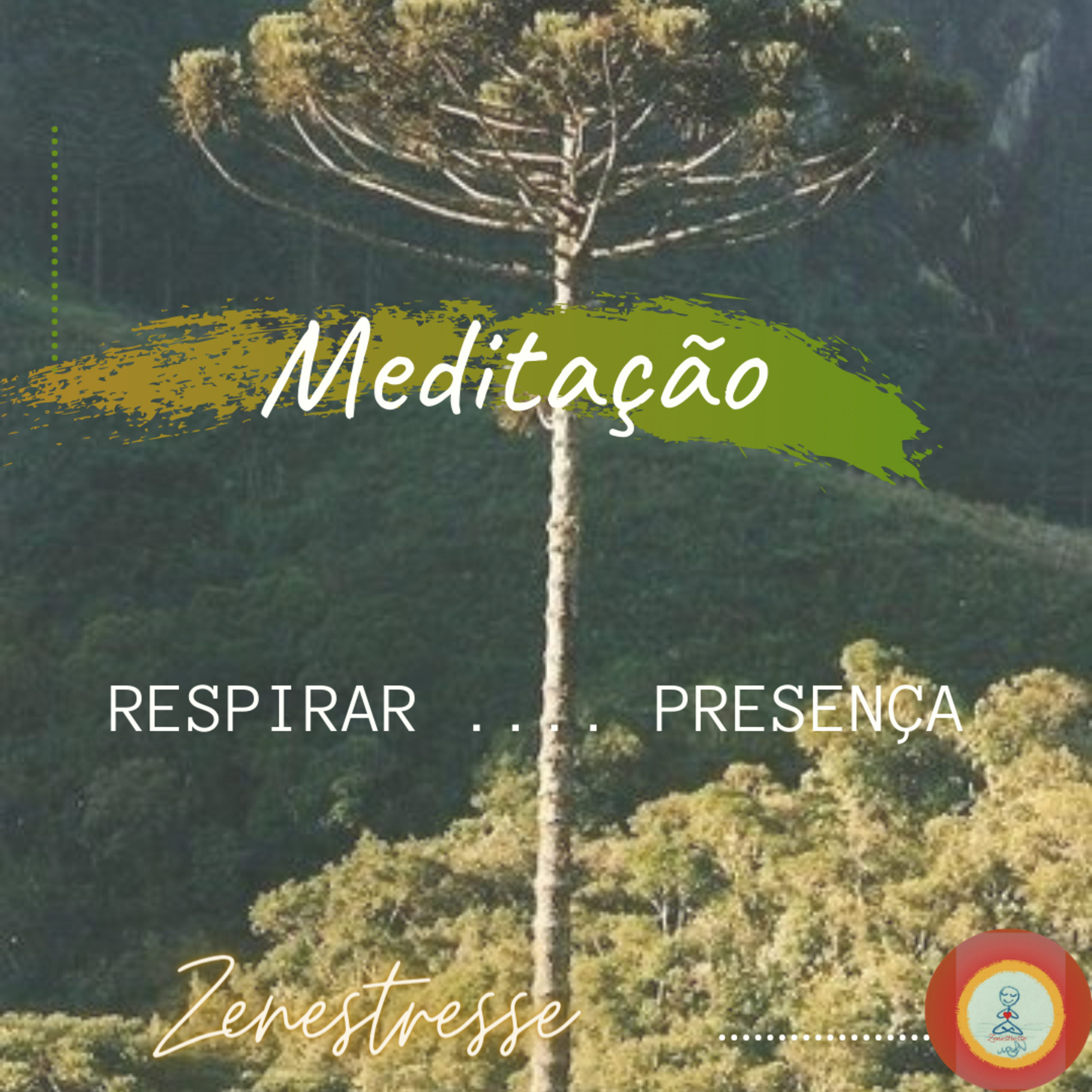 Zenestresse - Práticas De Bem Viver