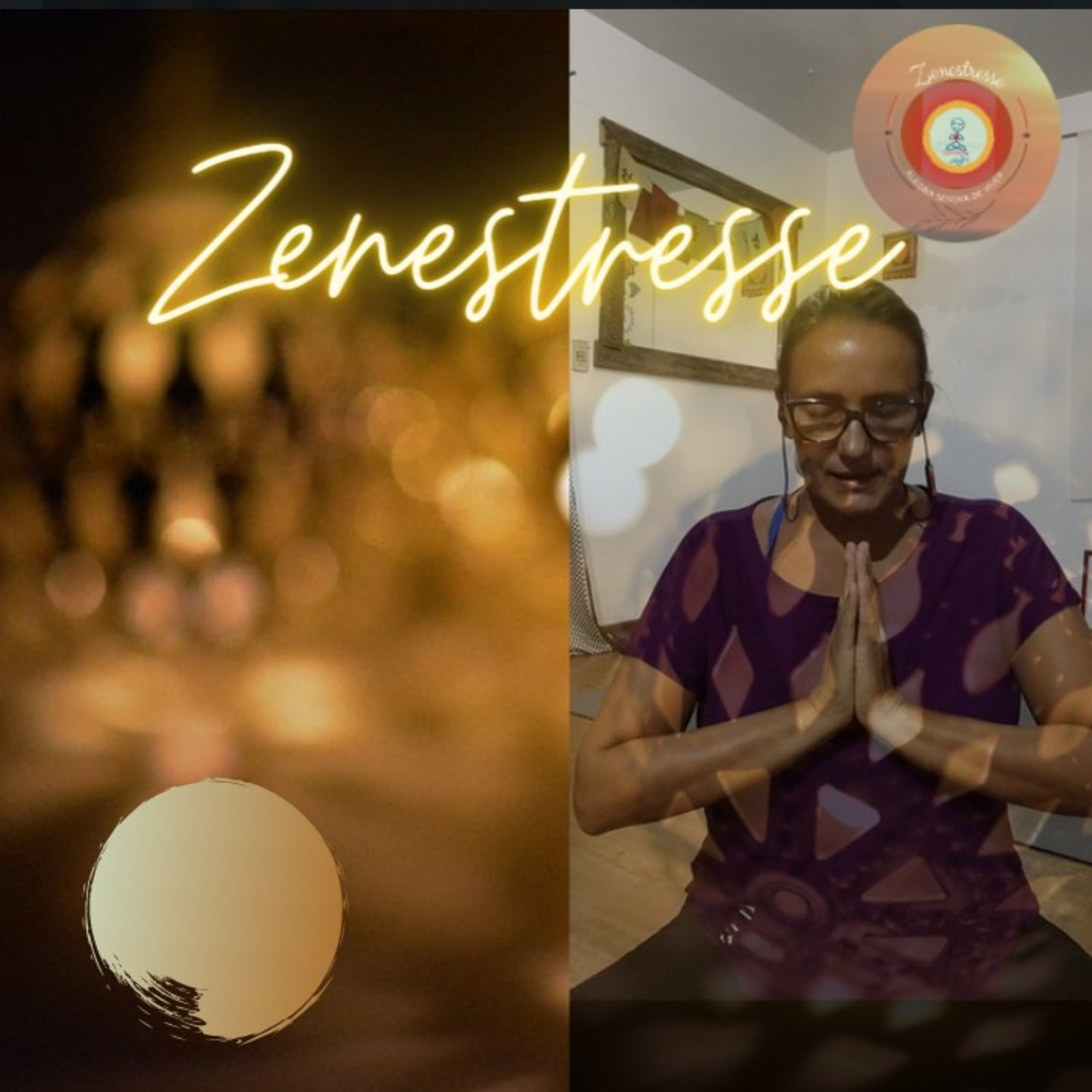 Zenestresse - Práticas De Bem Viver
