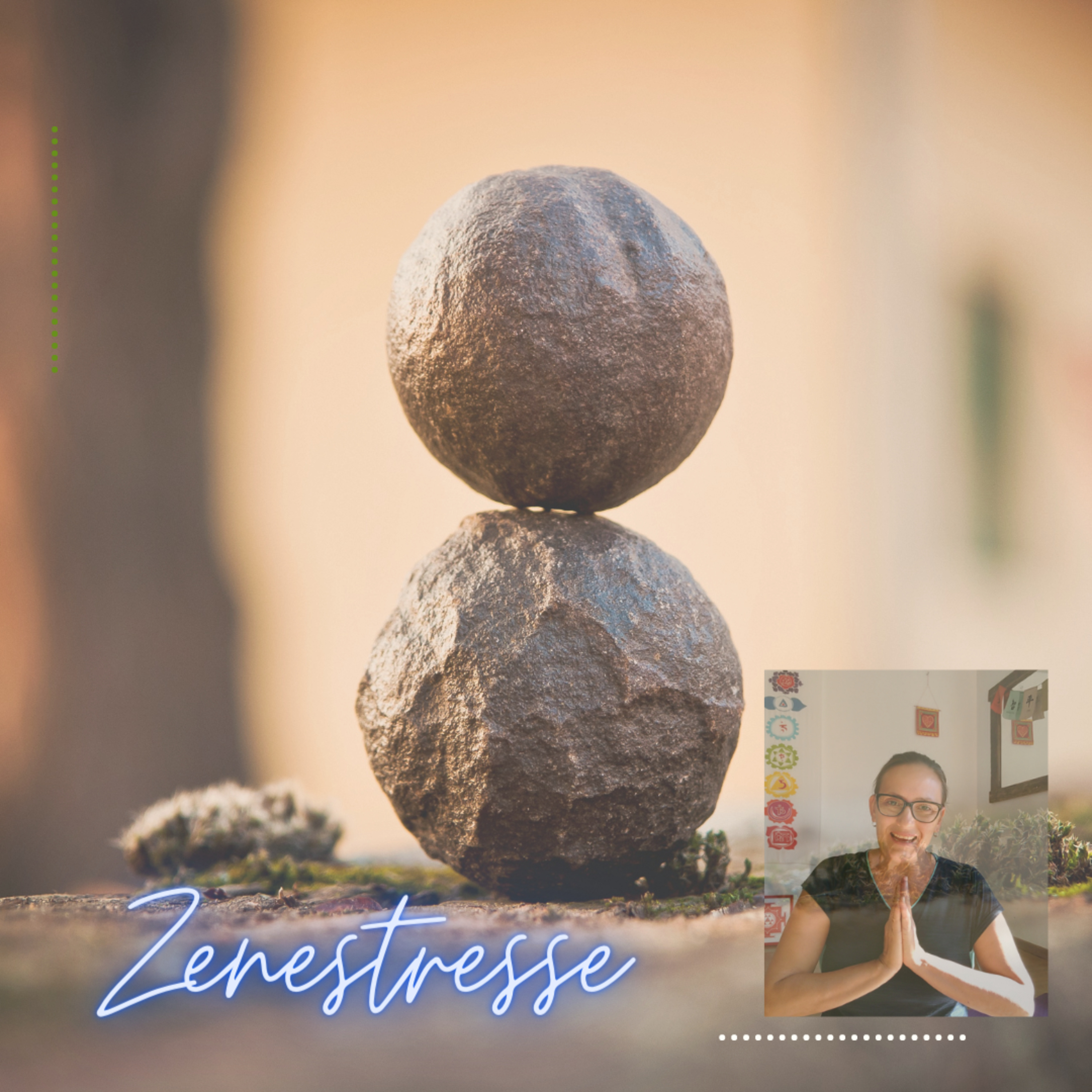Zenestresse - Práticas De Bem Viver