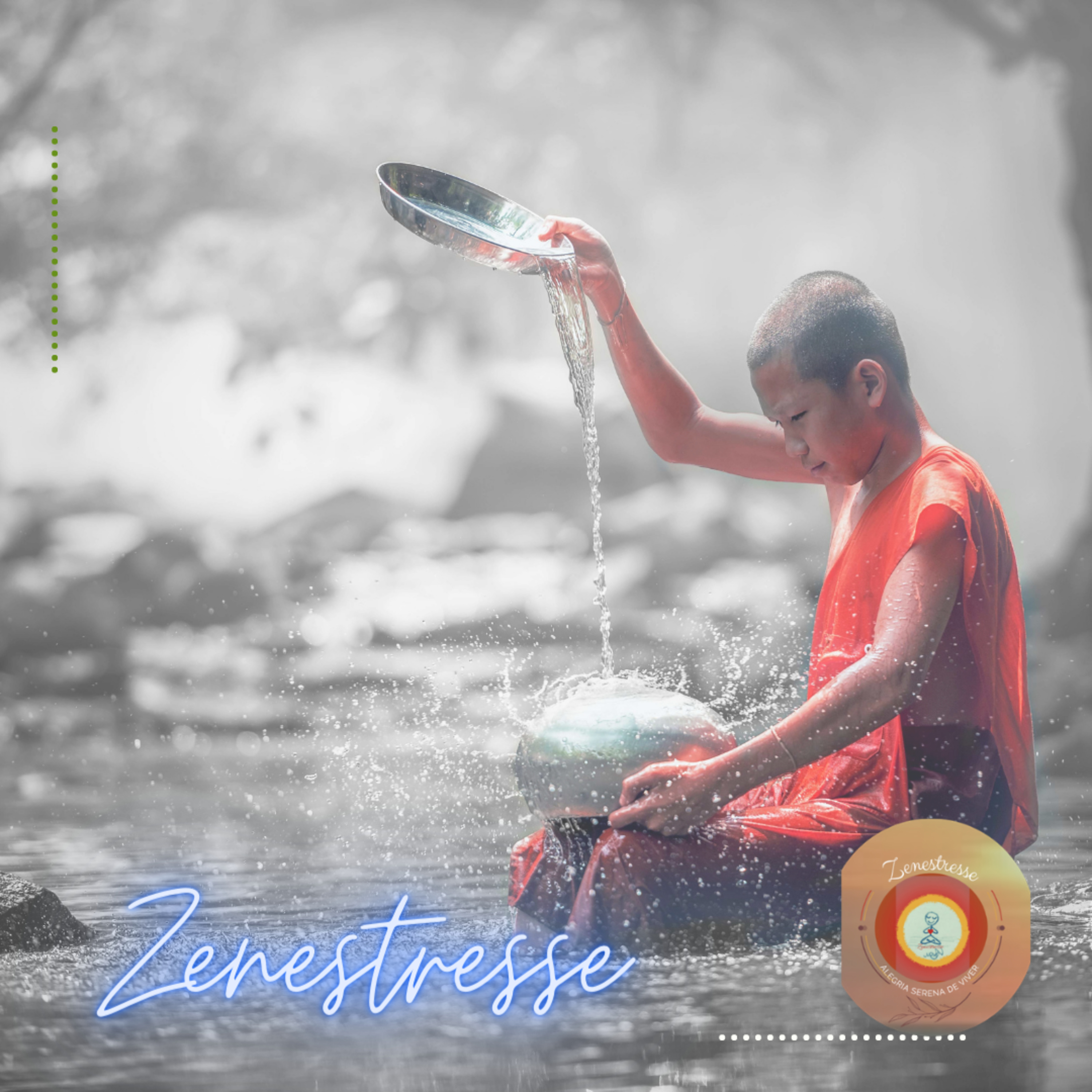 Zenestresse - Práticas De Bem Viver