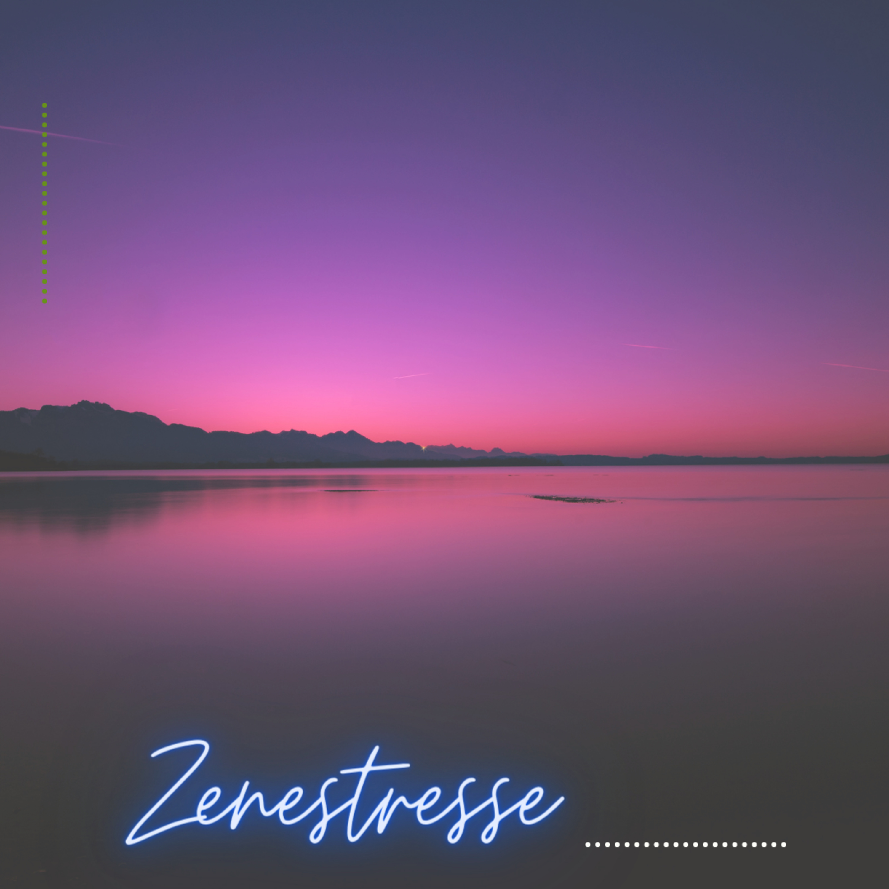 Zenestresse - Práticas De Bem Viver