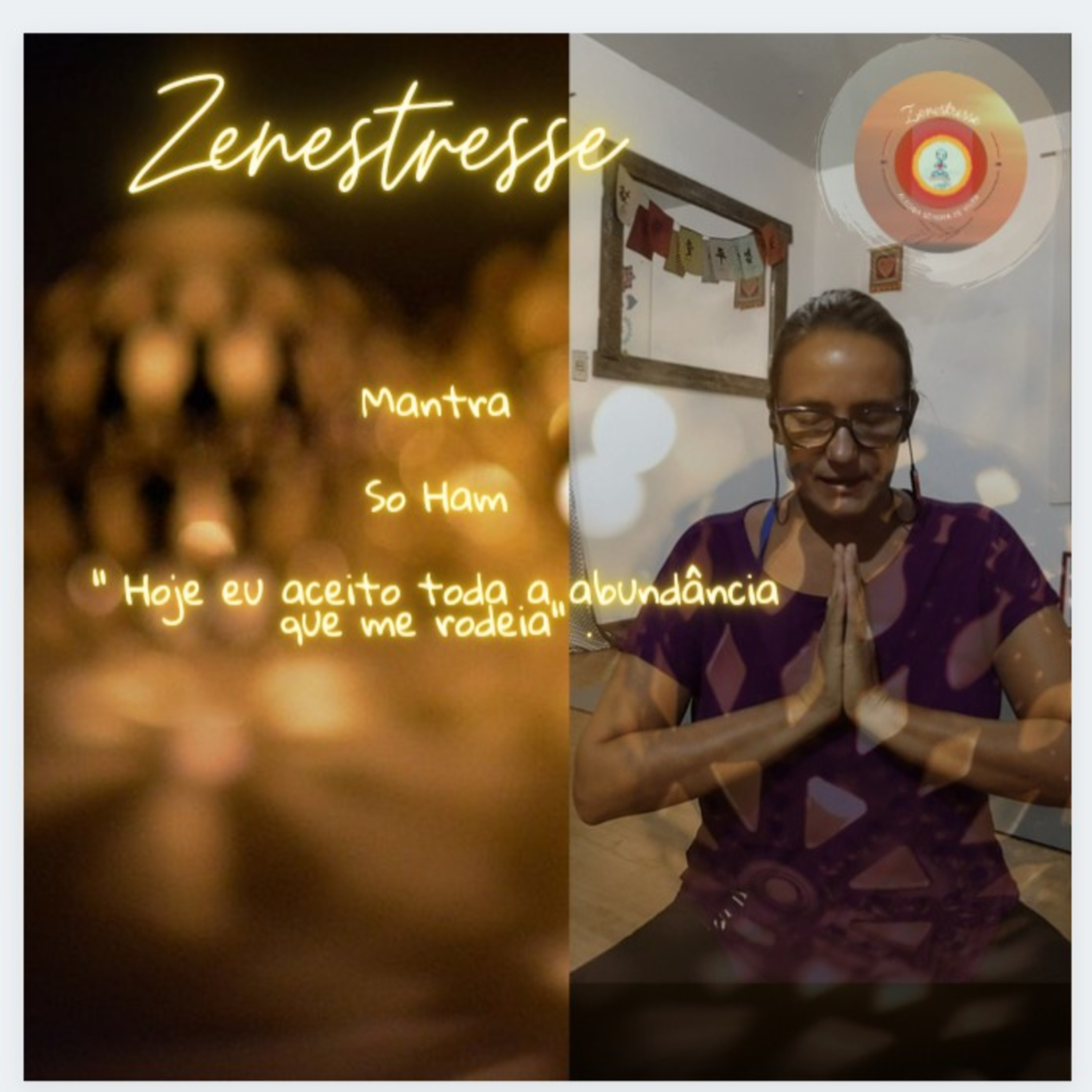 Zenestresse - Práticas De Bem Viver