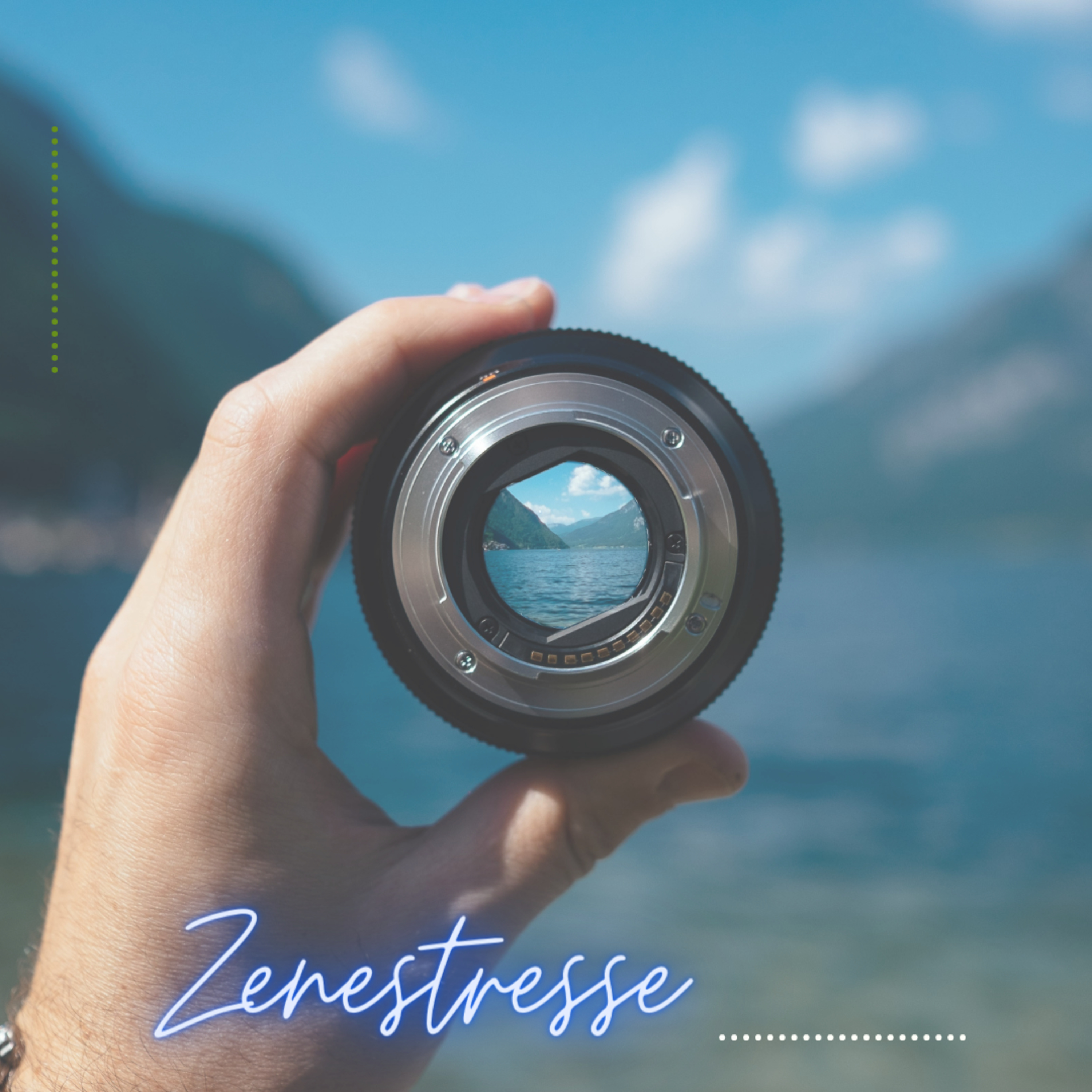 Zenestresse - Práticas De Bem Viver