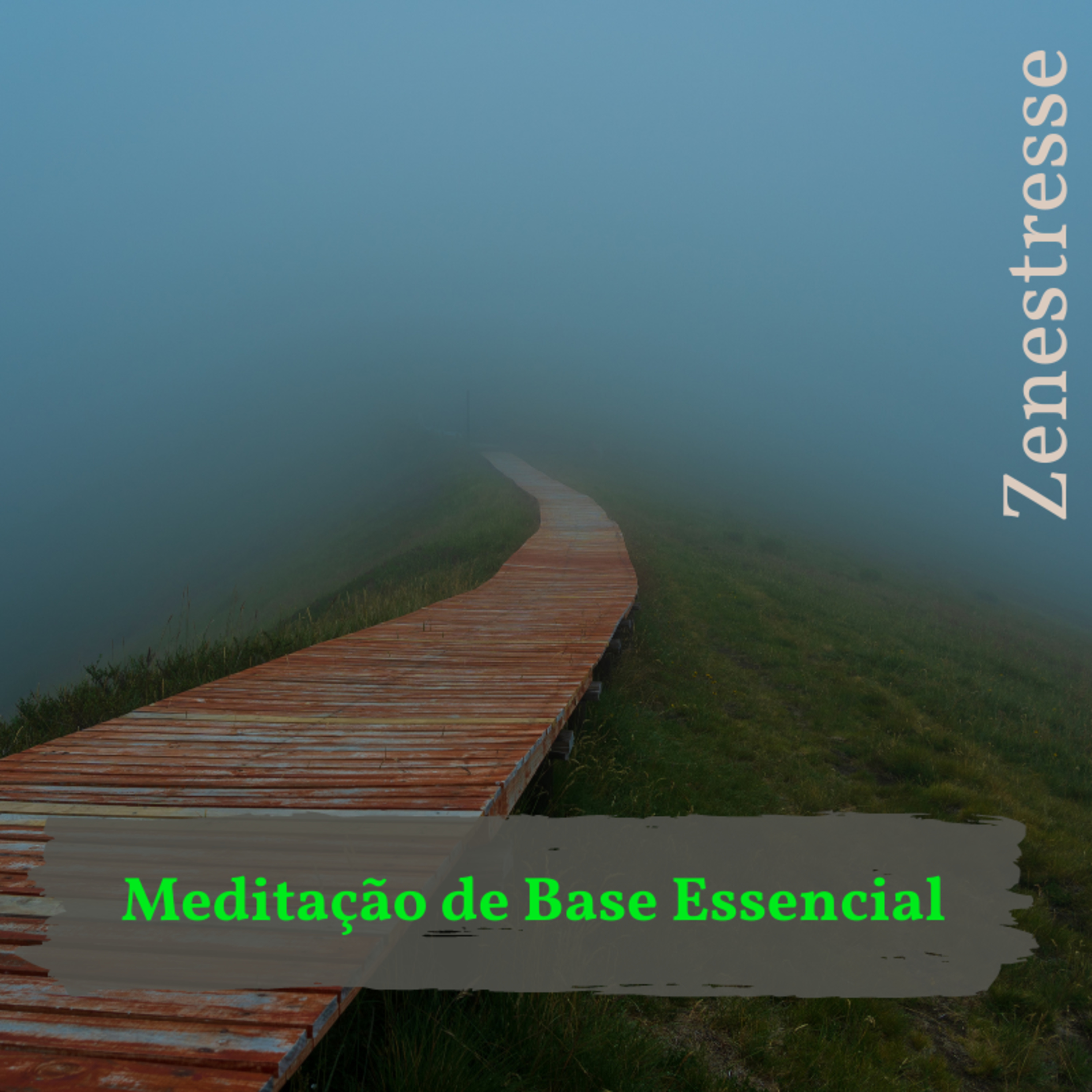 Zenestresse - Práticas De Bem Viver