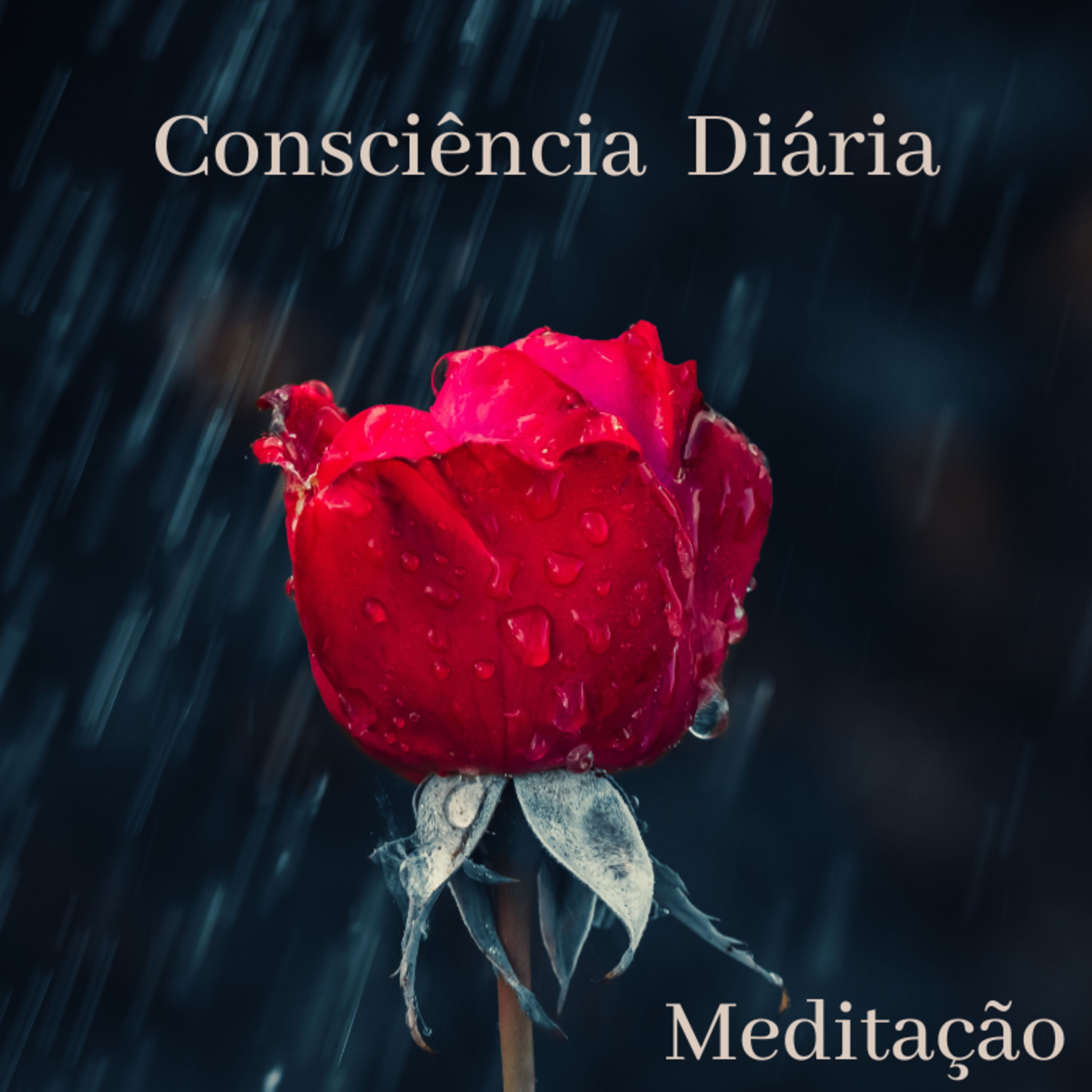 Zenestresse - Práticas De Bem Viver