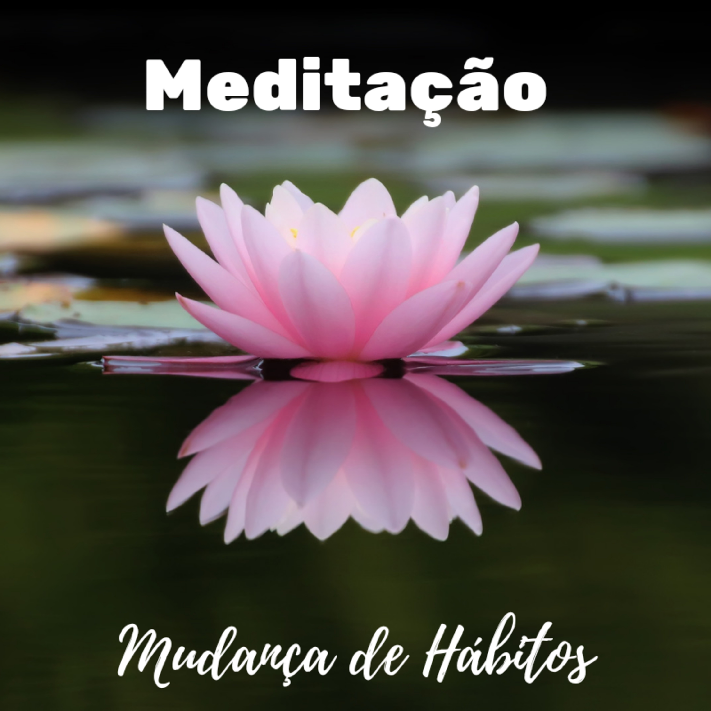 Zenestresse - Práticas De Bem Viver