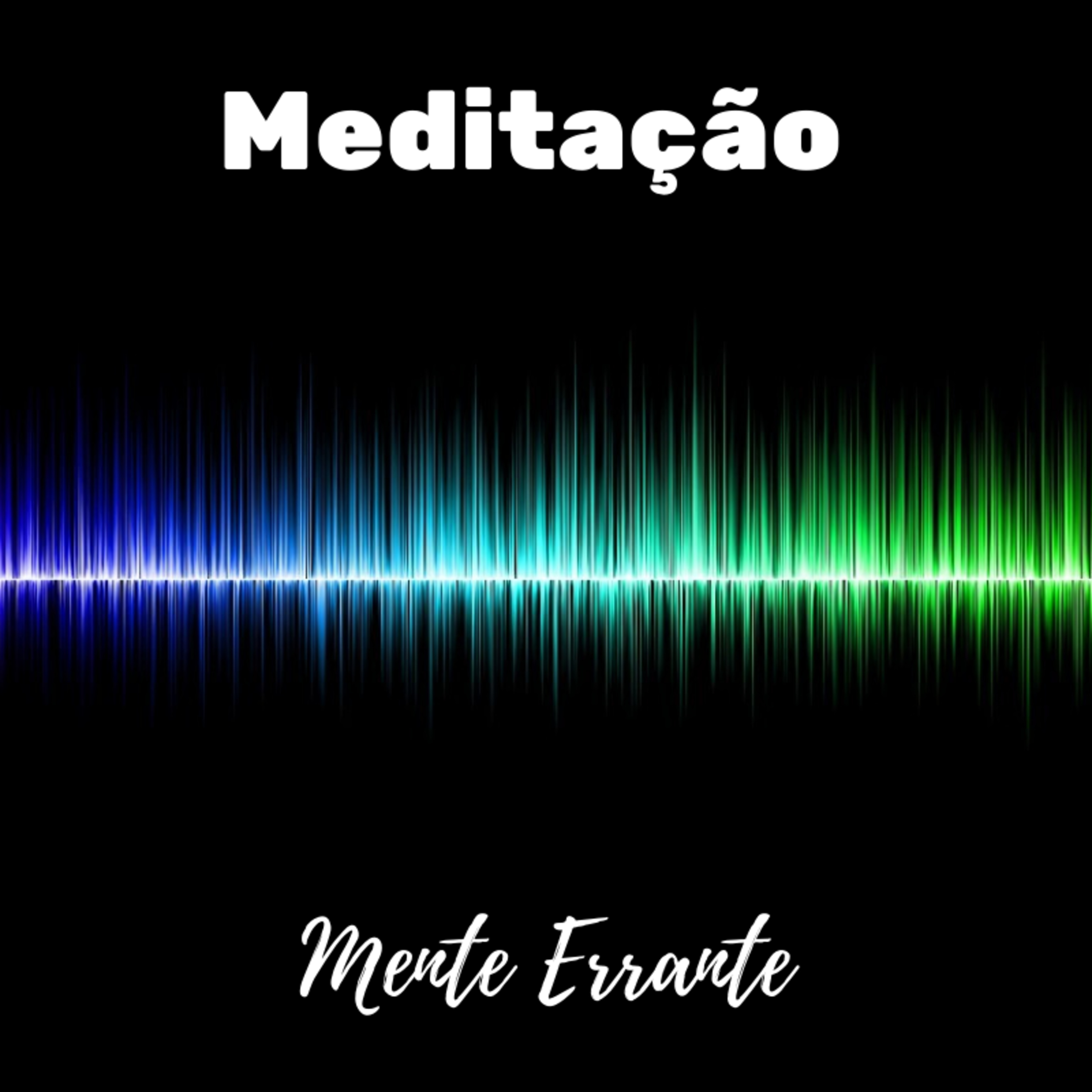 Zenestresse - Práticas De Bem Viver