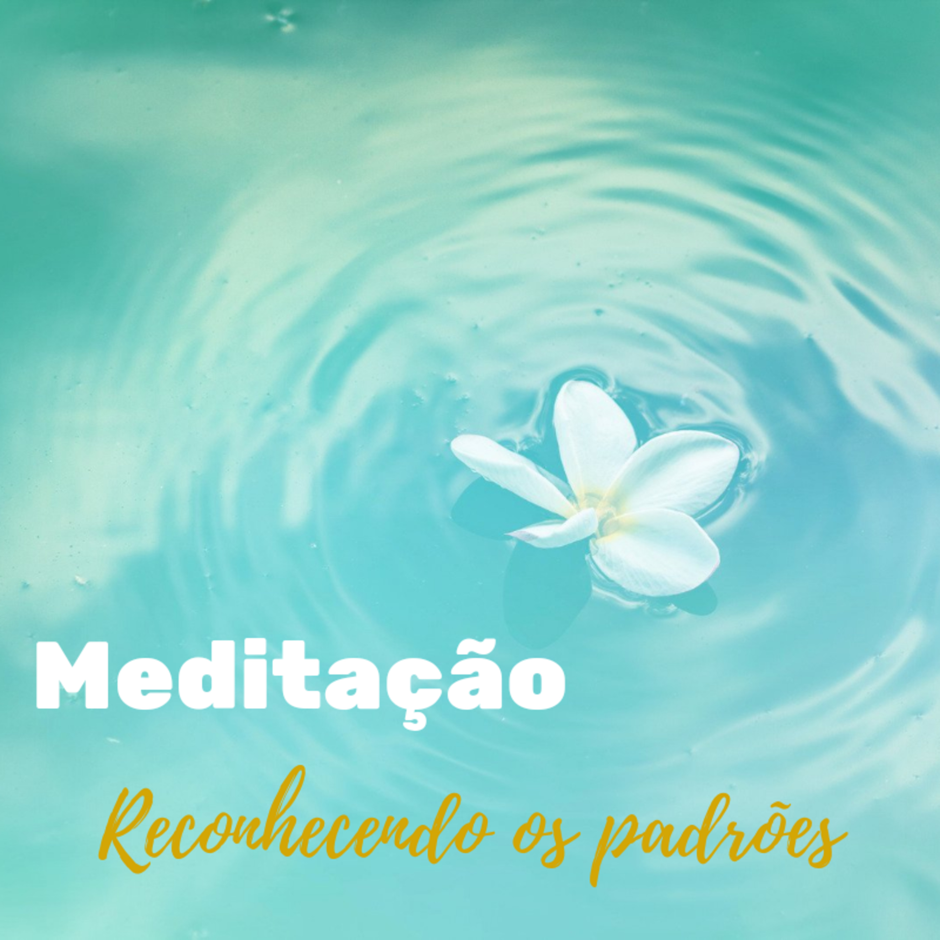 Zenestresse - Práticas De Bem Viver