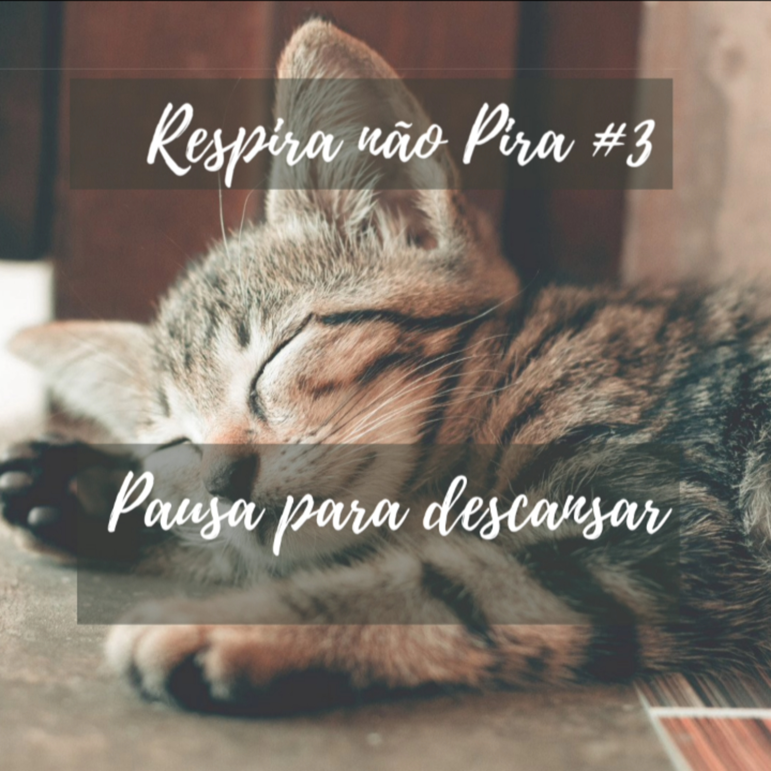 Zenestresse - Práticas De Bem Viver