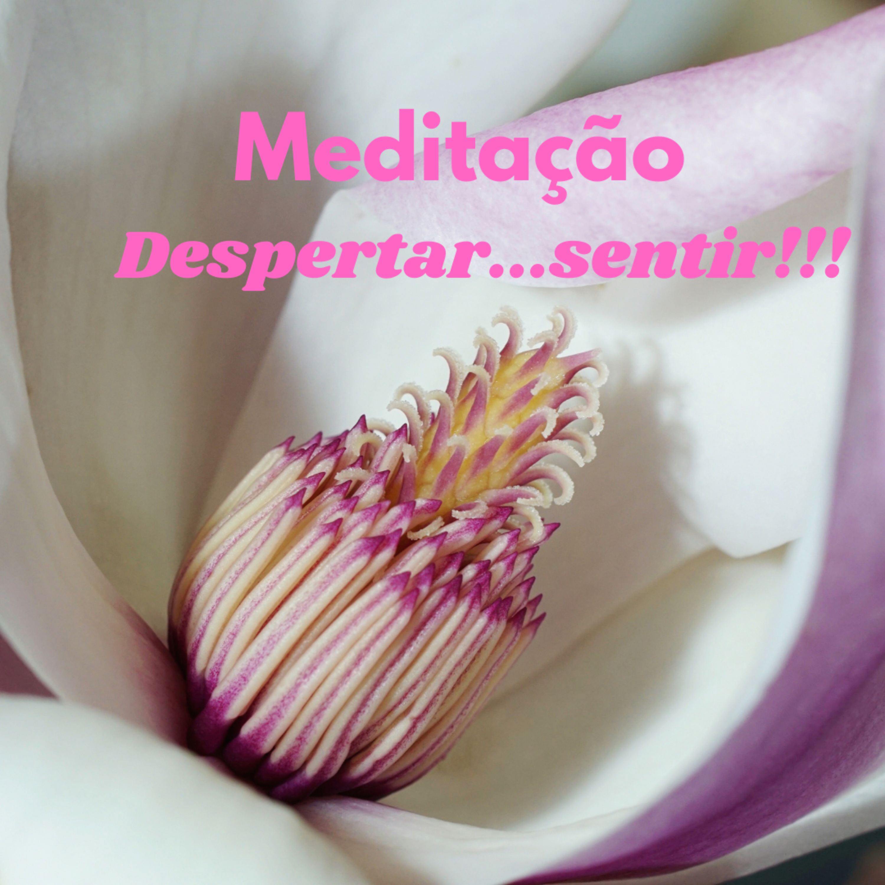 Zenestresse - Práticas De Bem Viver