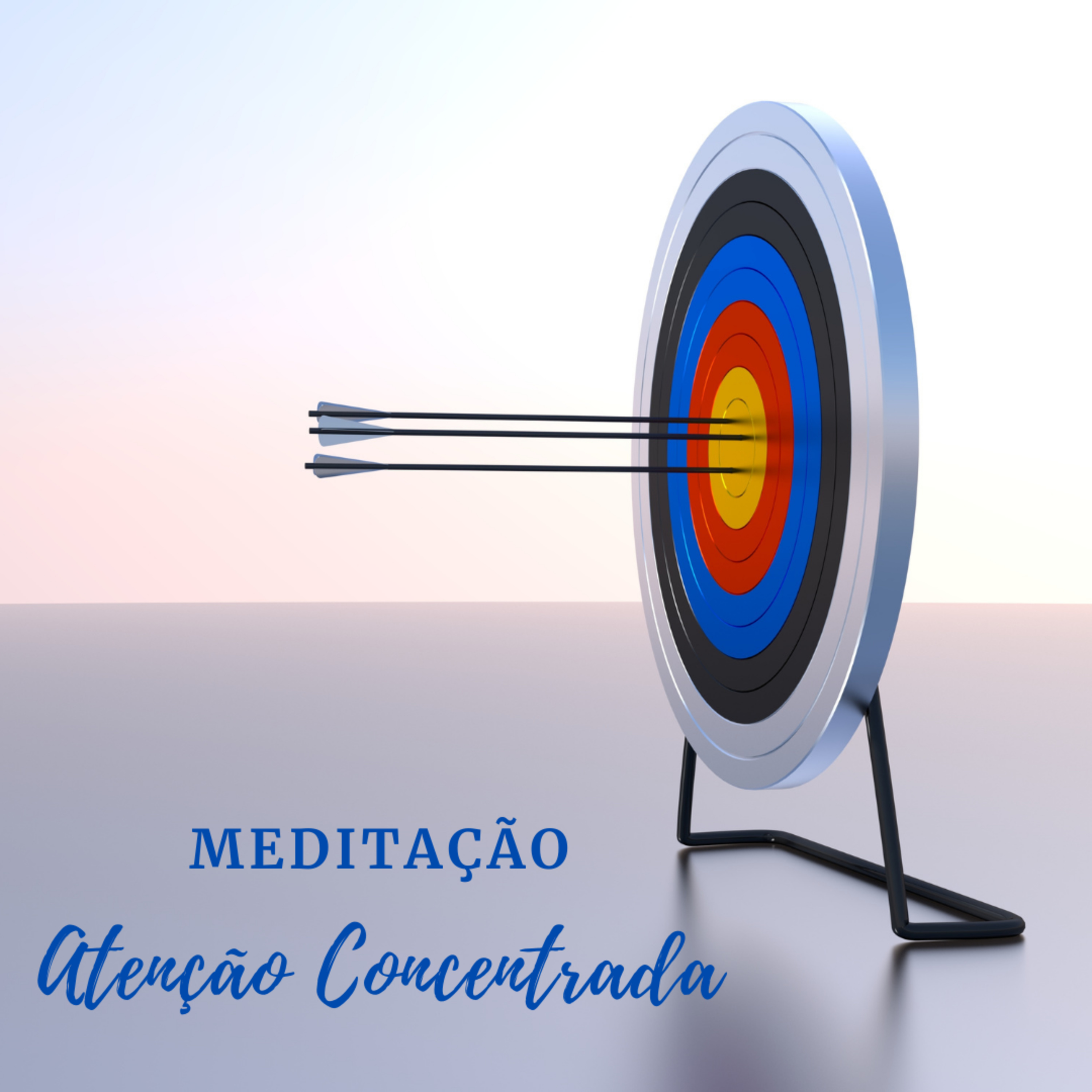 Zenestresse - Práticas De Bem Viver