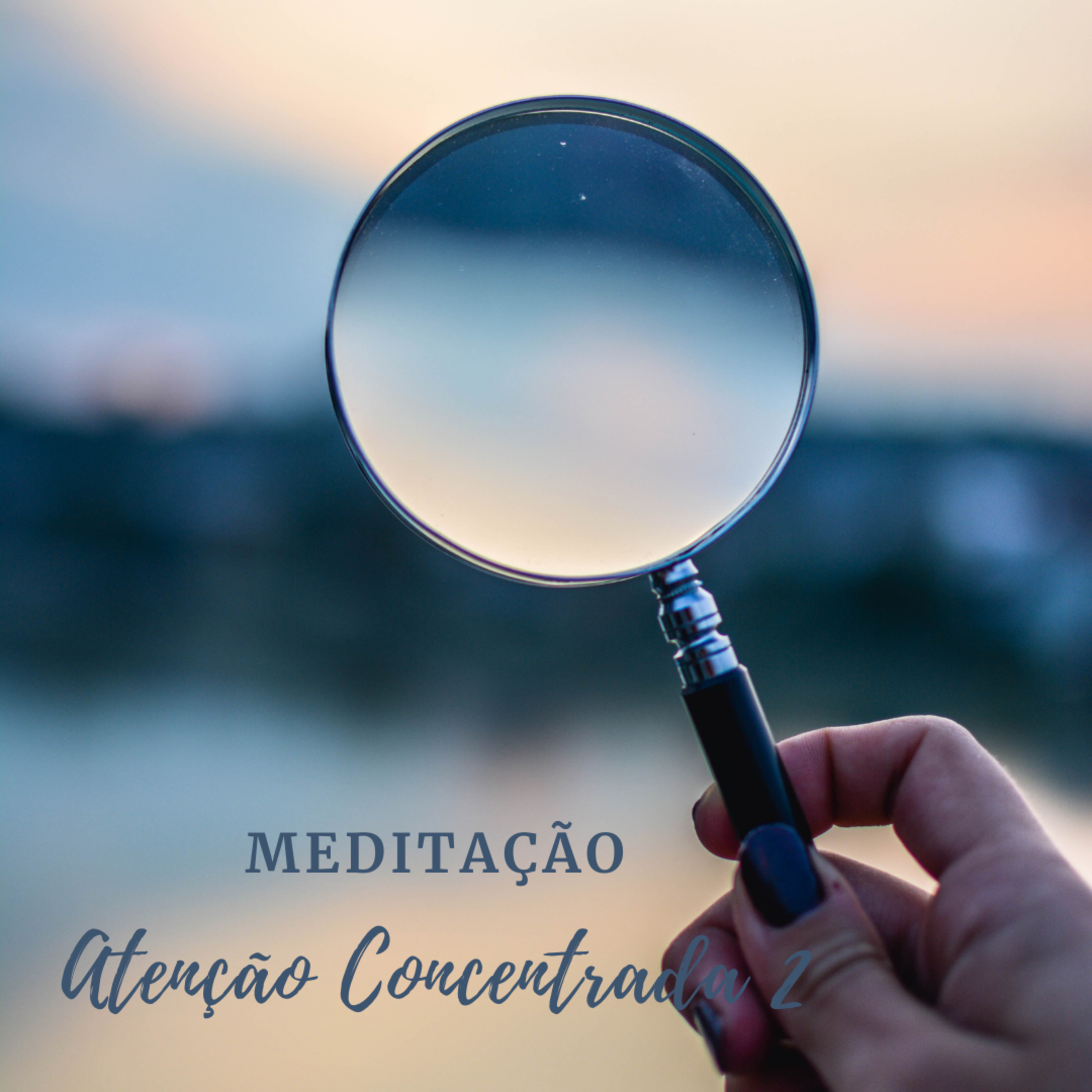 Meditação Atenção Concentrada #2🎯