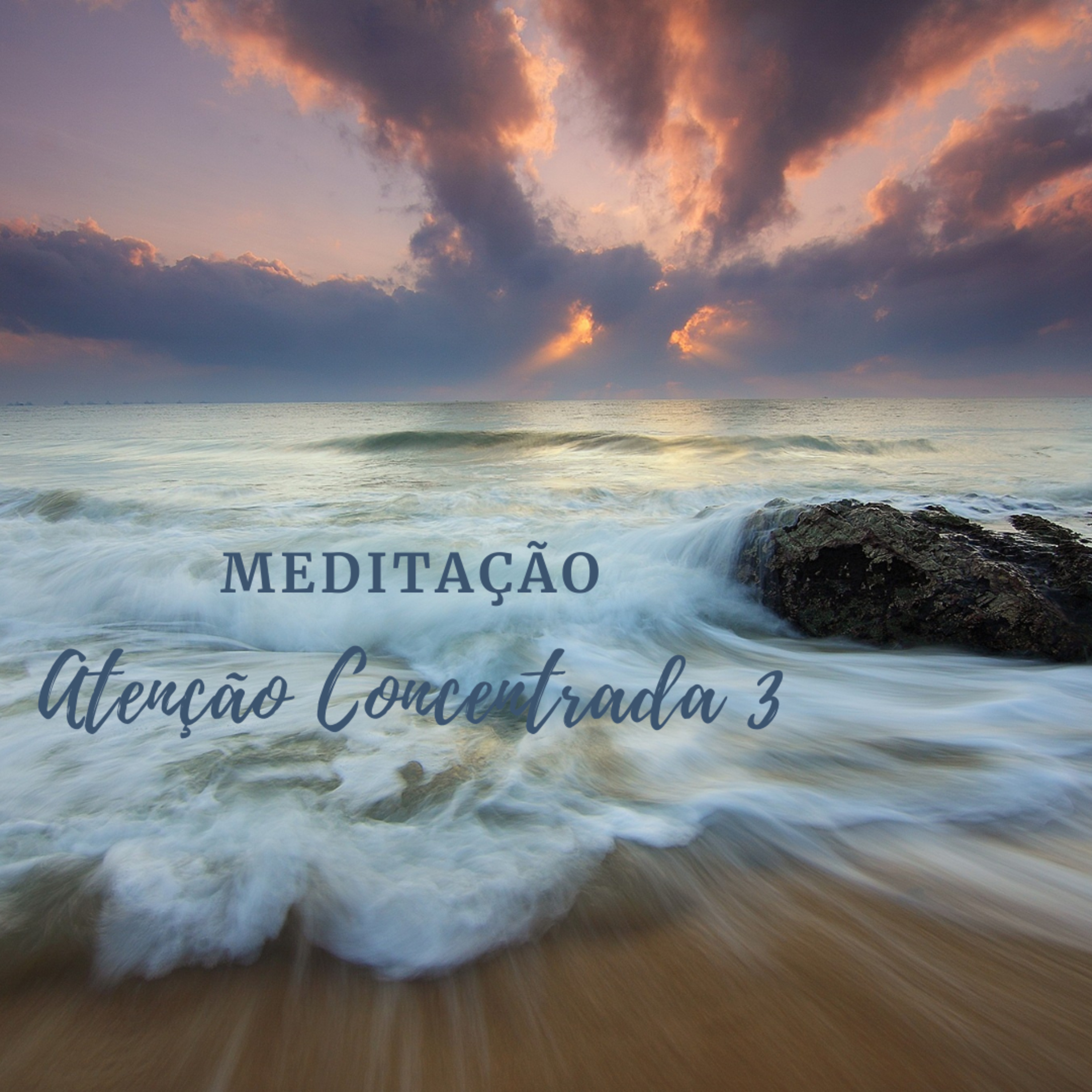 Meditação Atenção Concentrada #3🎯