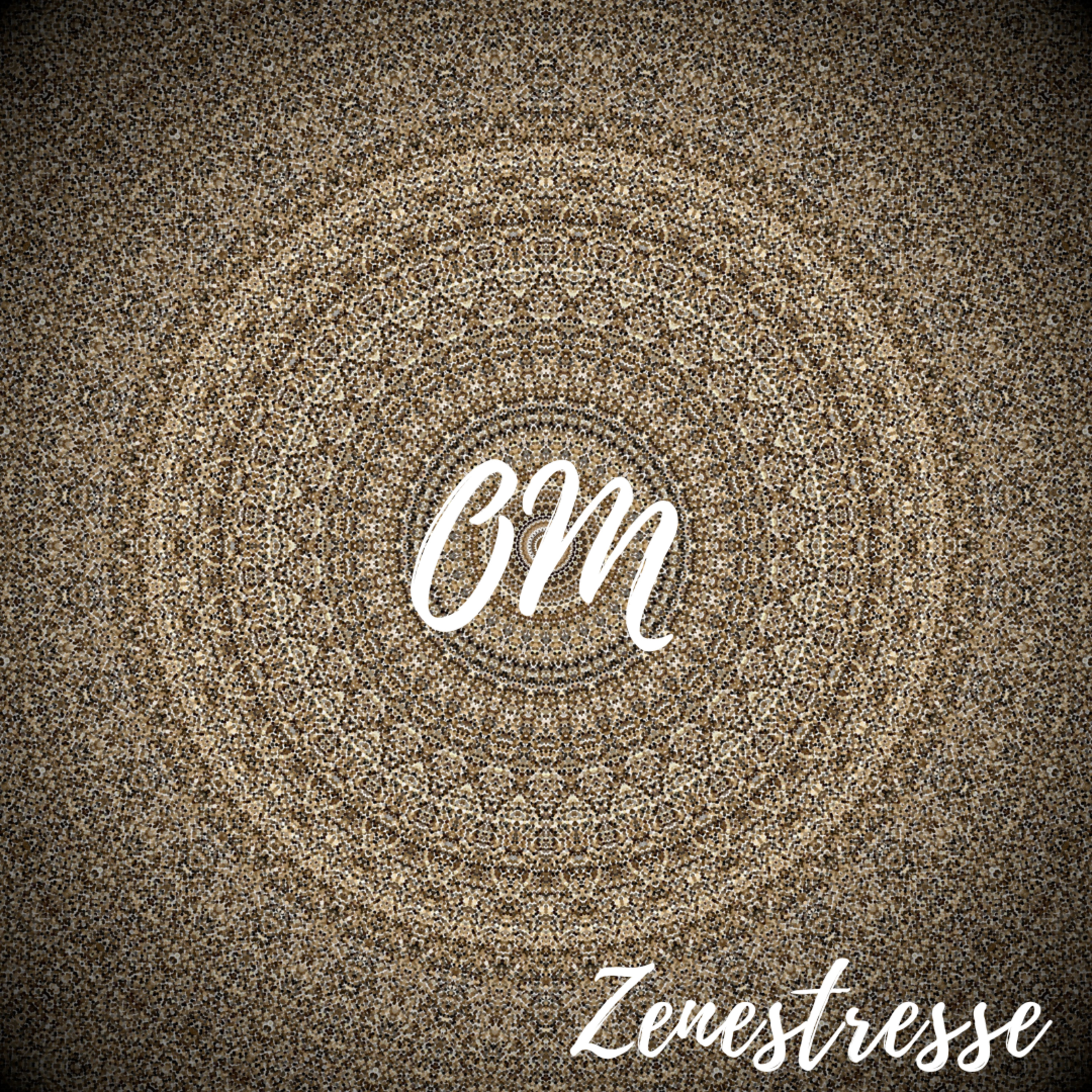 Meditação Mantra Semente "Om"🕉️