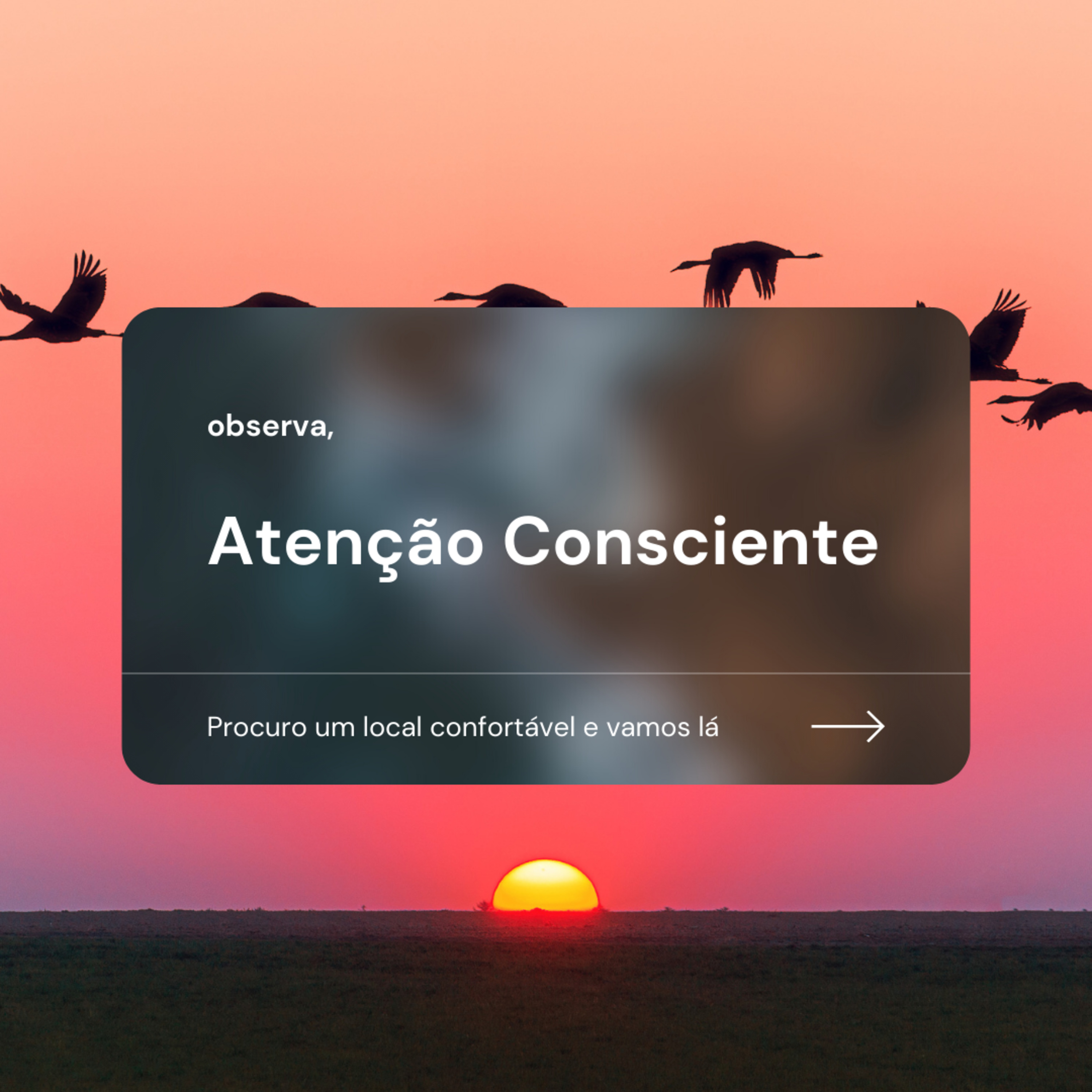 Meditação Atenção Consciente nos sons ll 🔉