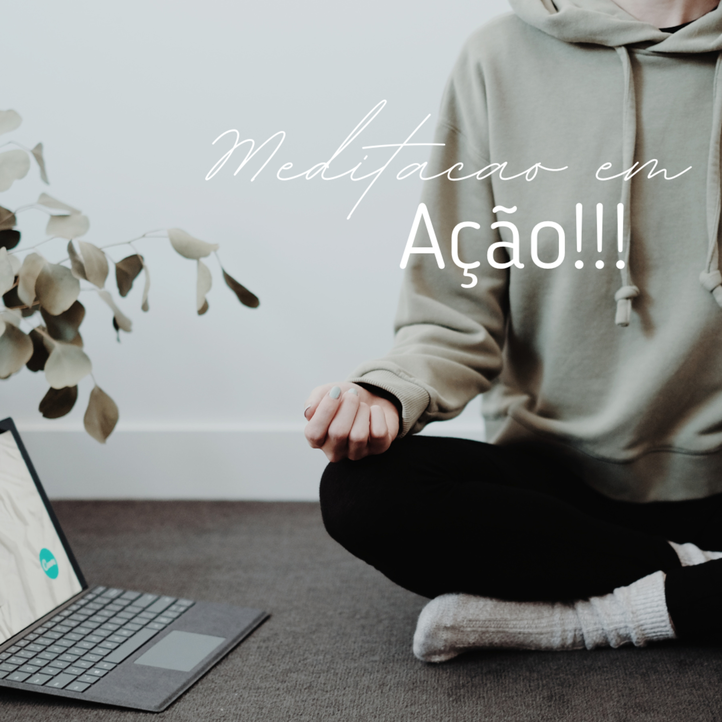 Meditação - Em ação 