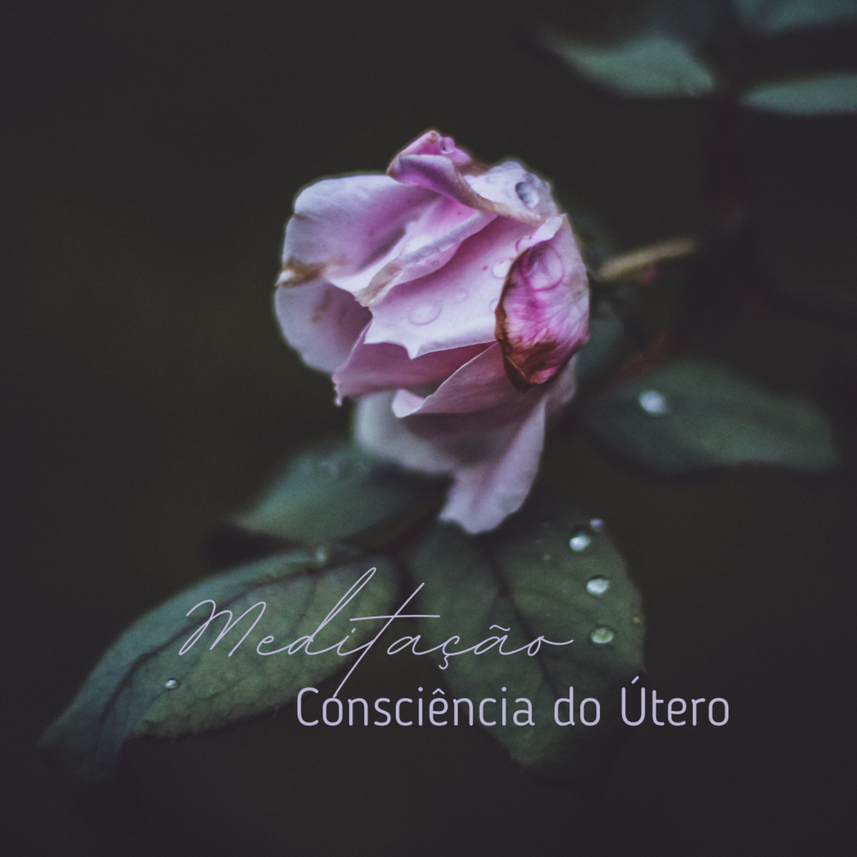 Meditação da consciência do útero 